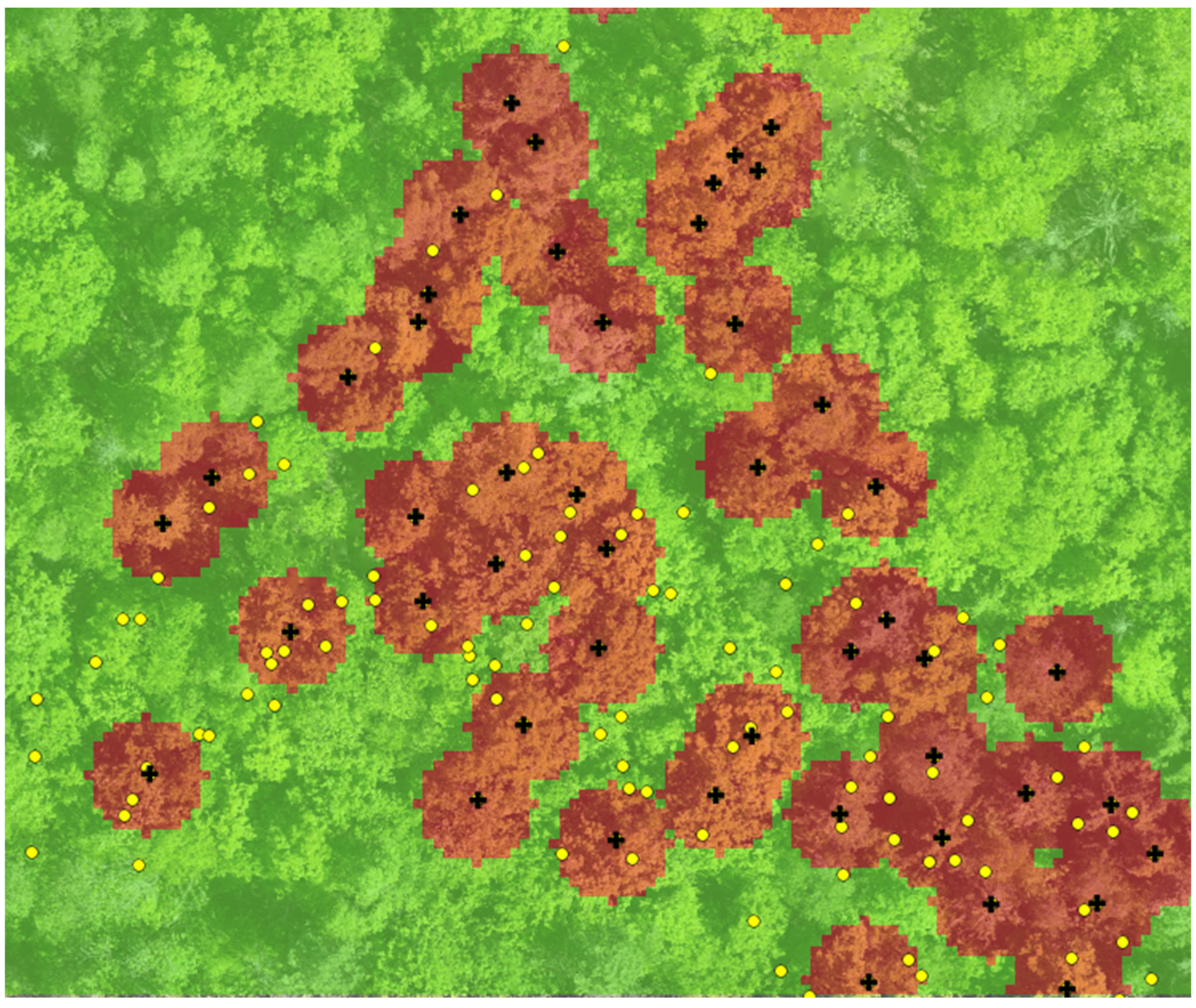 Forests 15 01882 g004