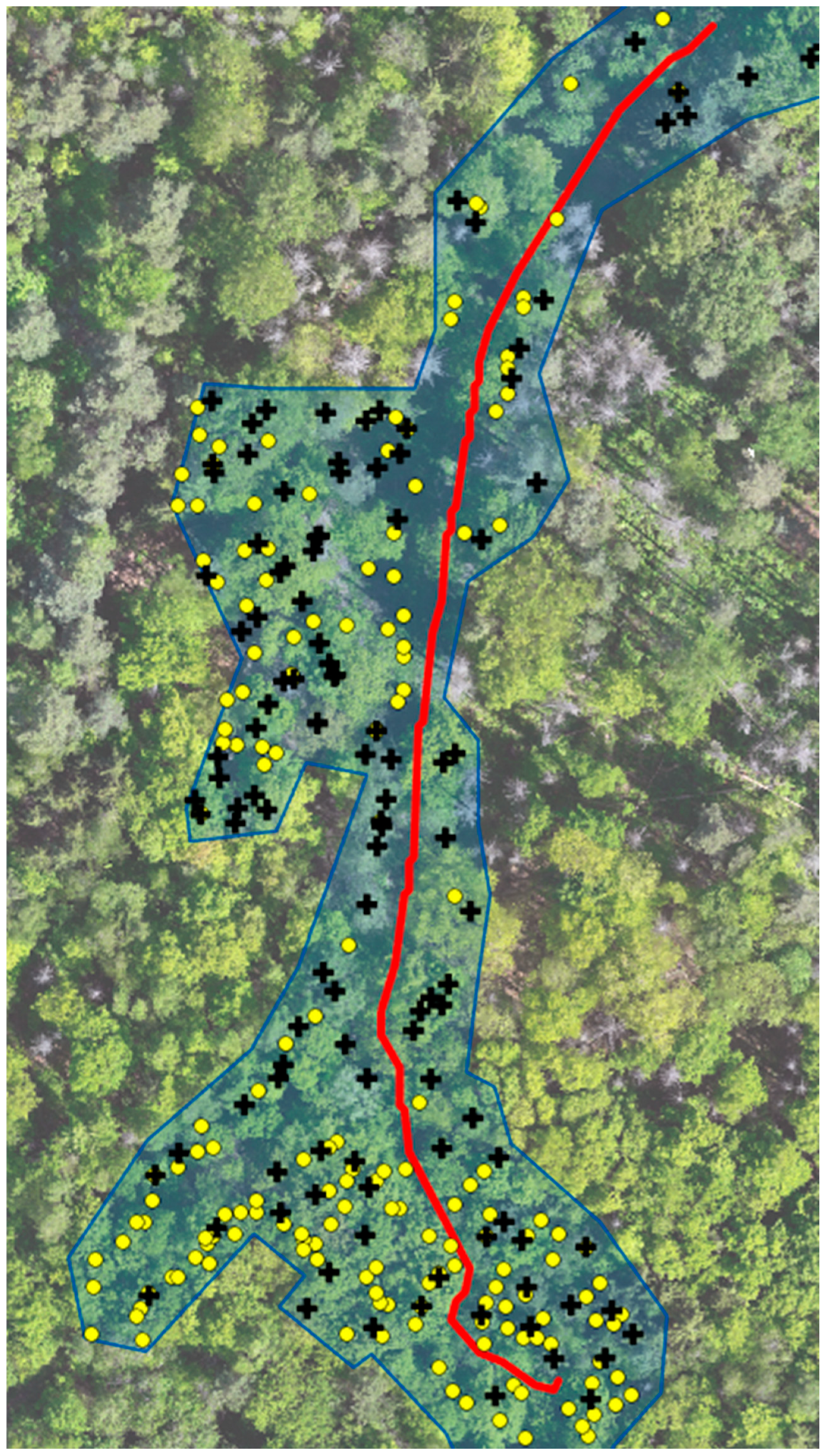 Forests 15 01882 g005