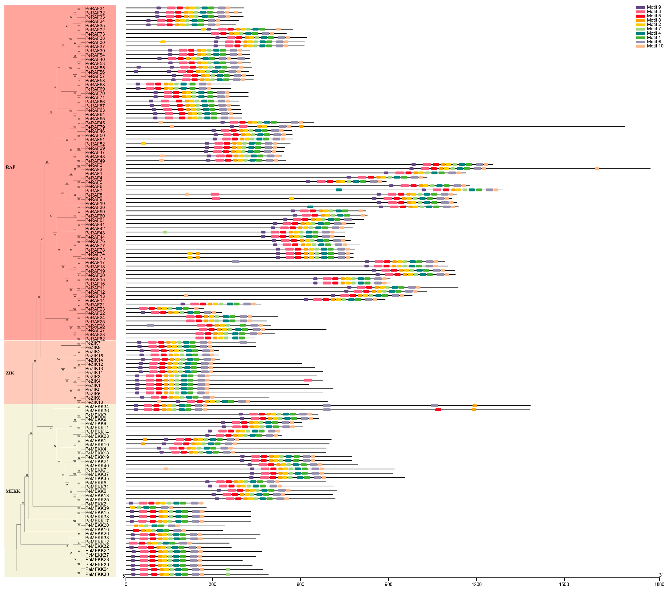 Forests 15 01883 g002