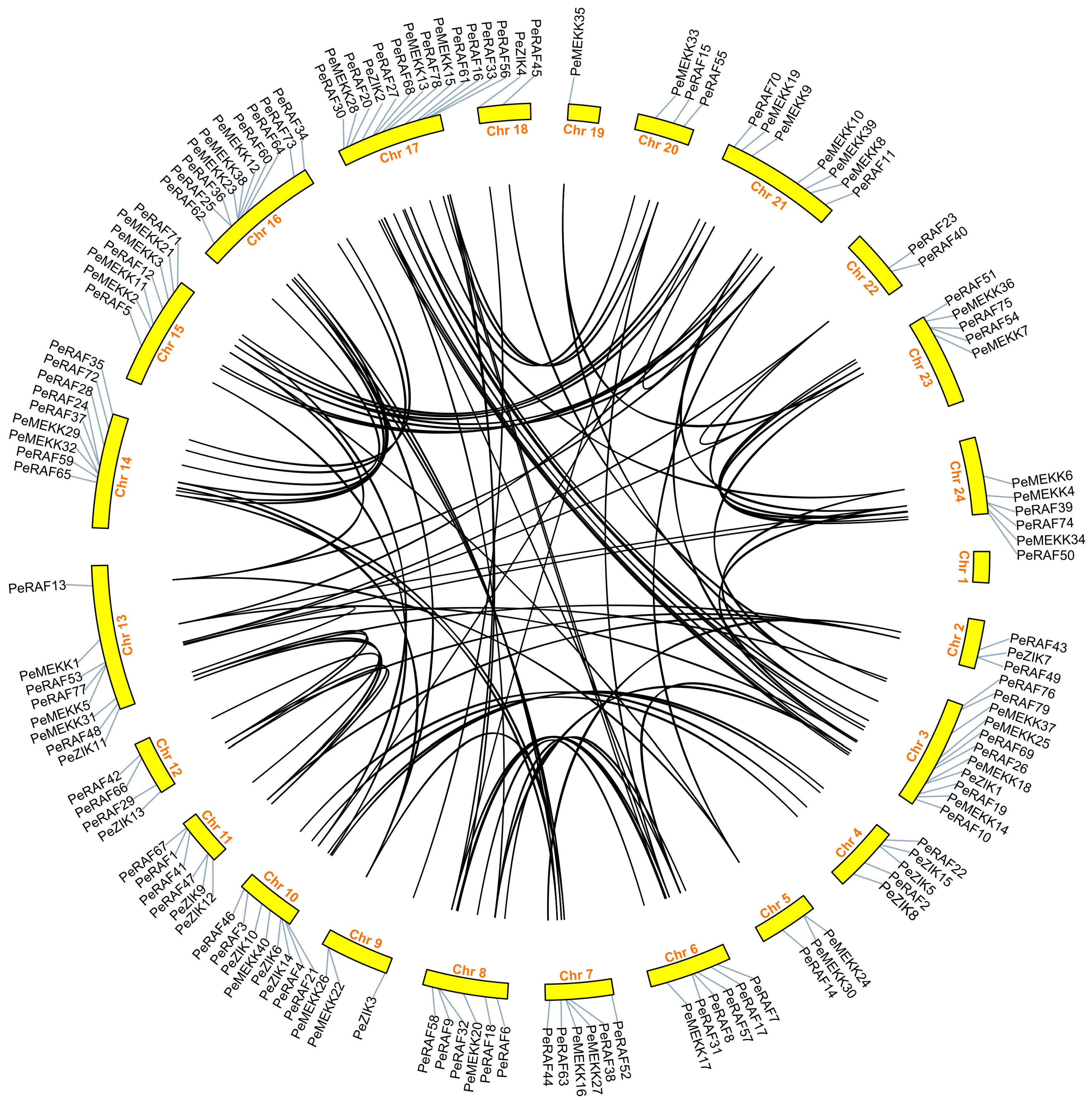 Forests 15 01883 g003