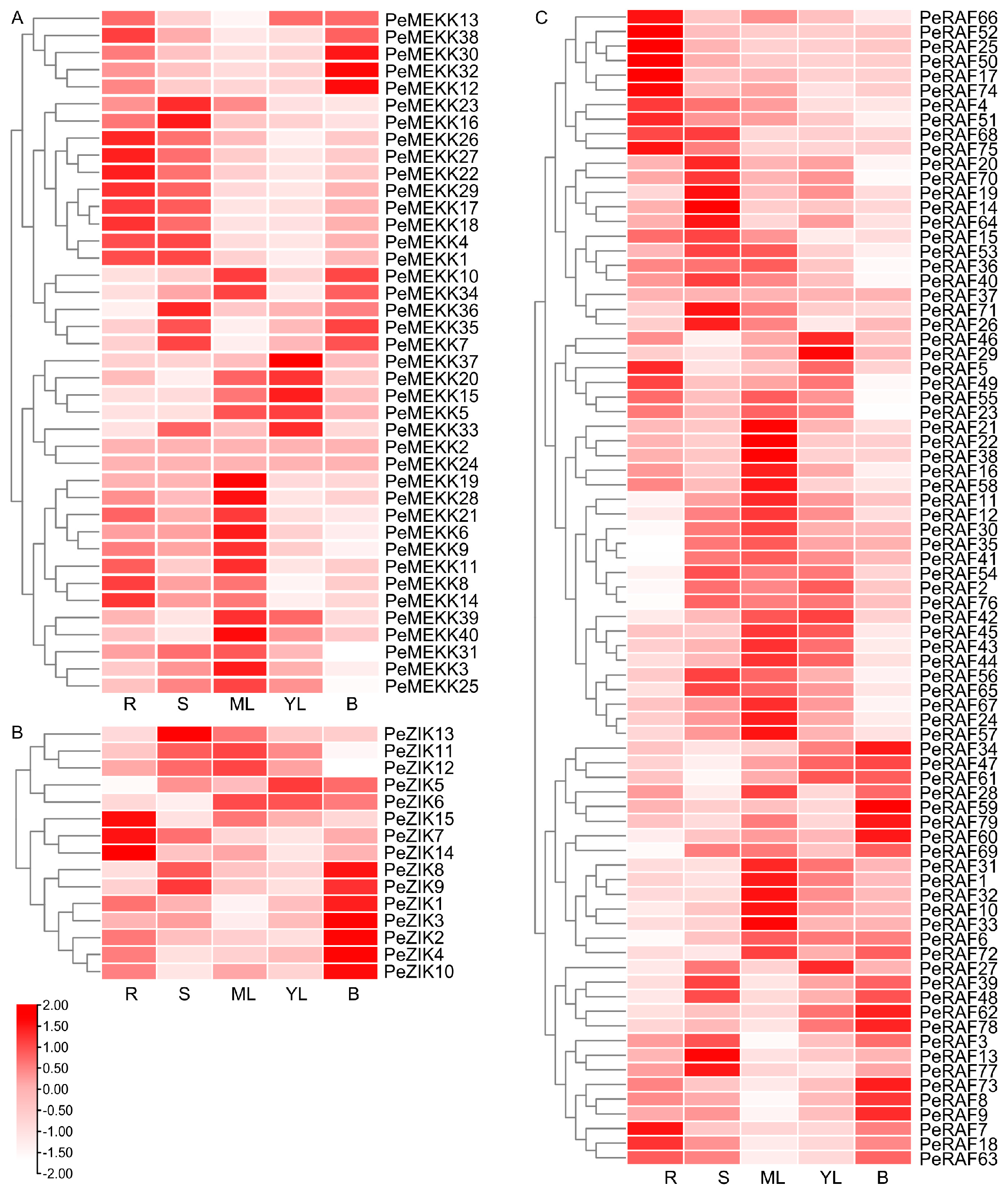 Forests 15 01883 g005