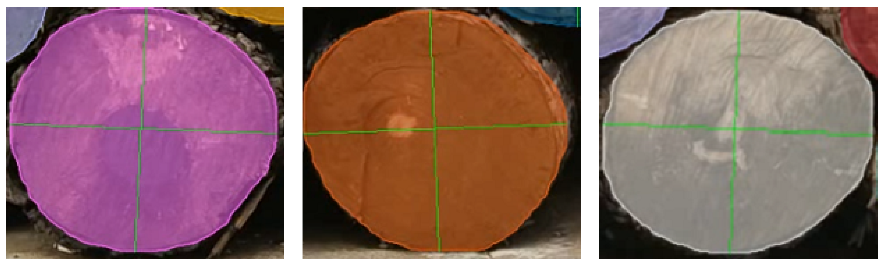 Forests 15 01884 g011