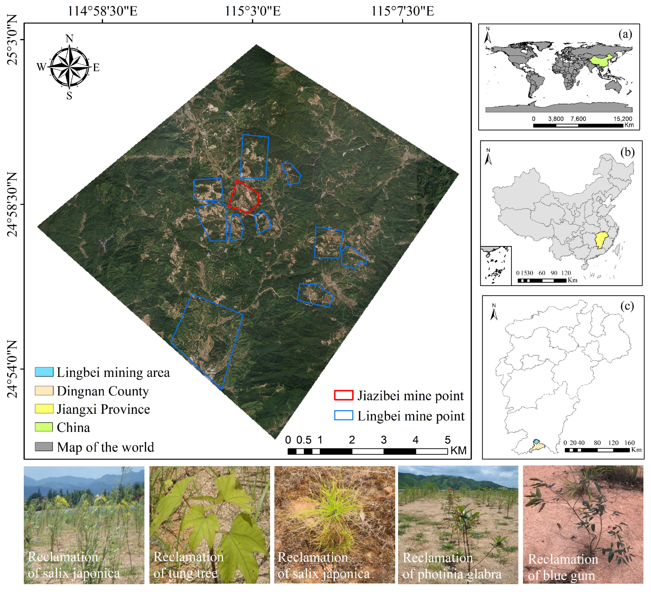 Forests 15 01885 g001