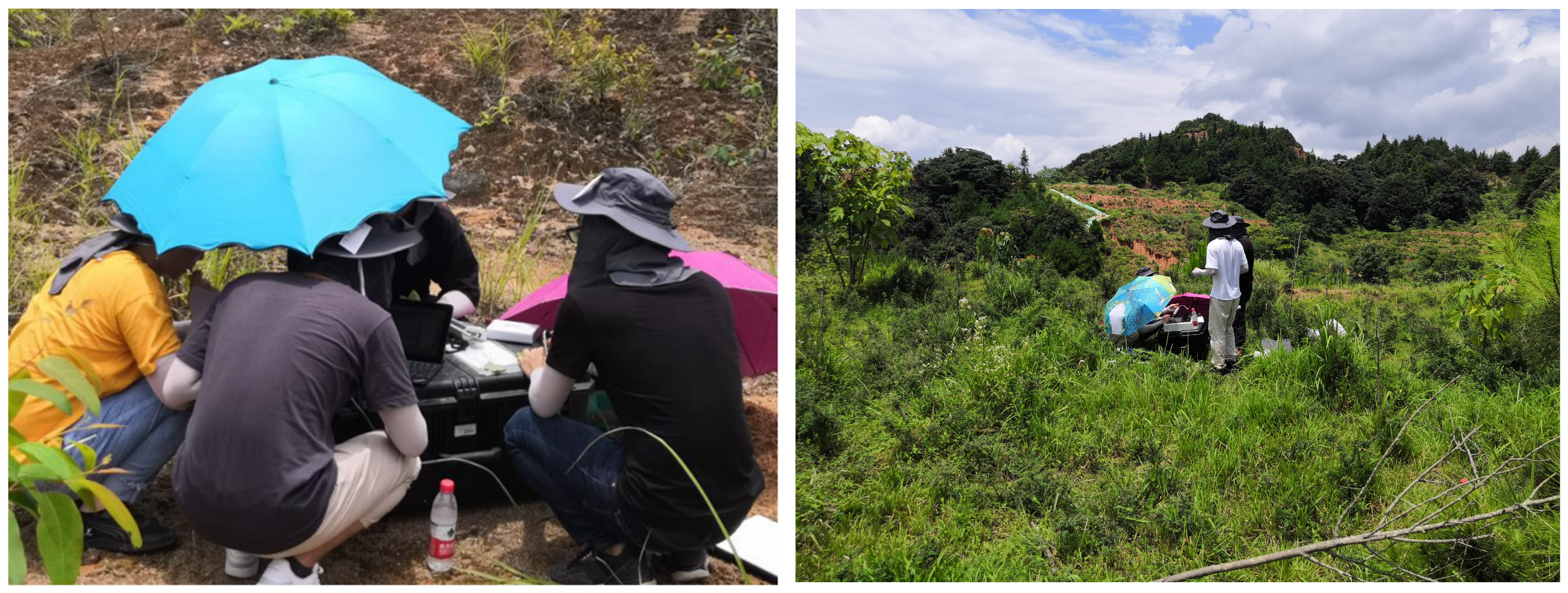 Forests 15 01885 g003