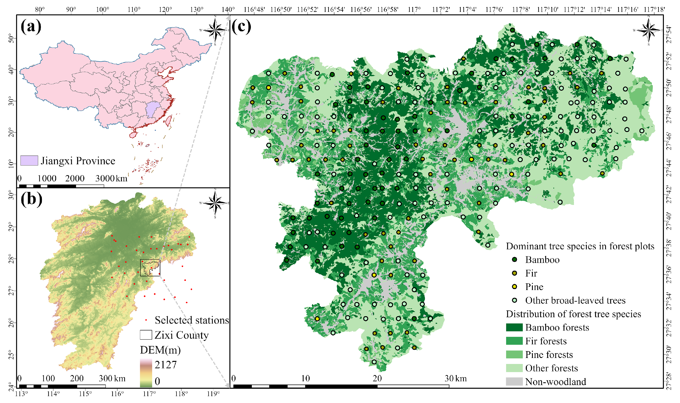 Forests 15 01887 g001