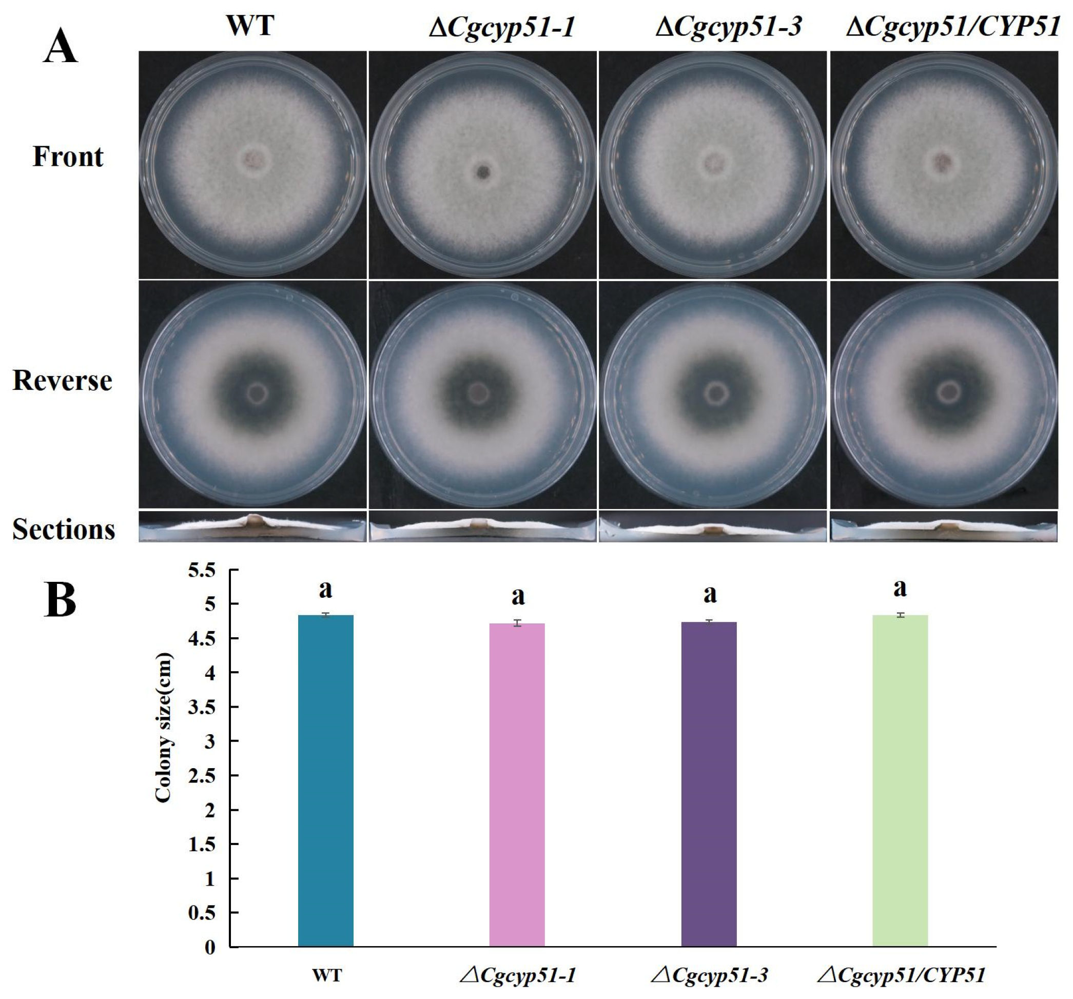 Forests 15 01888 g002
