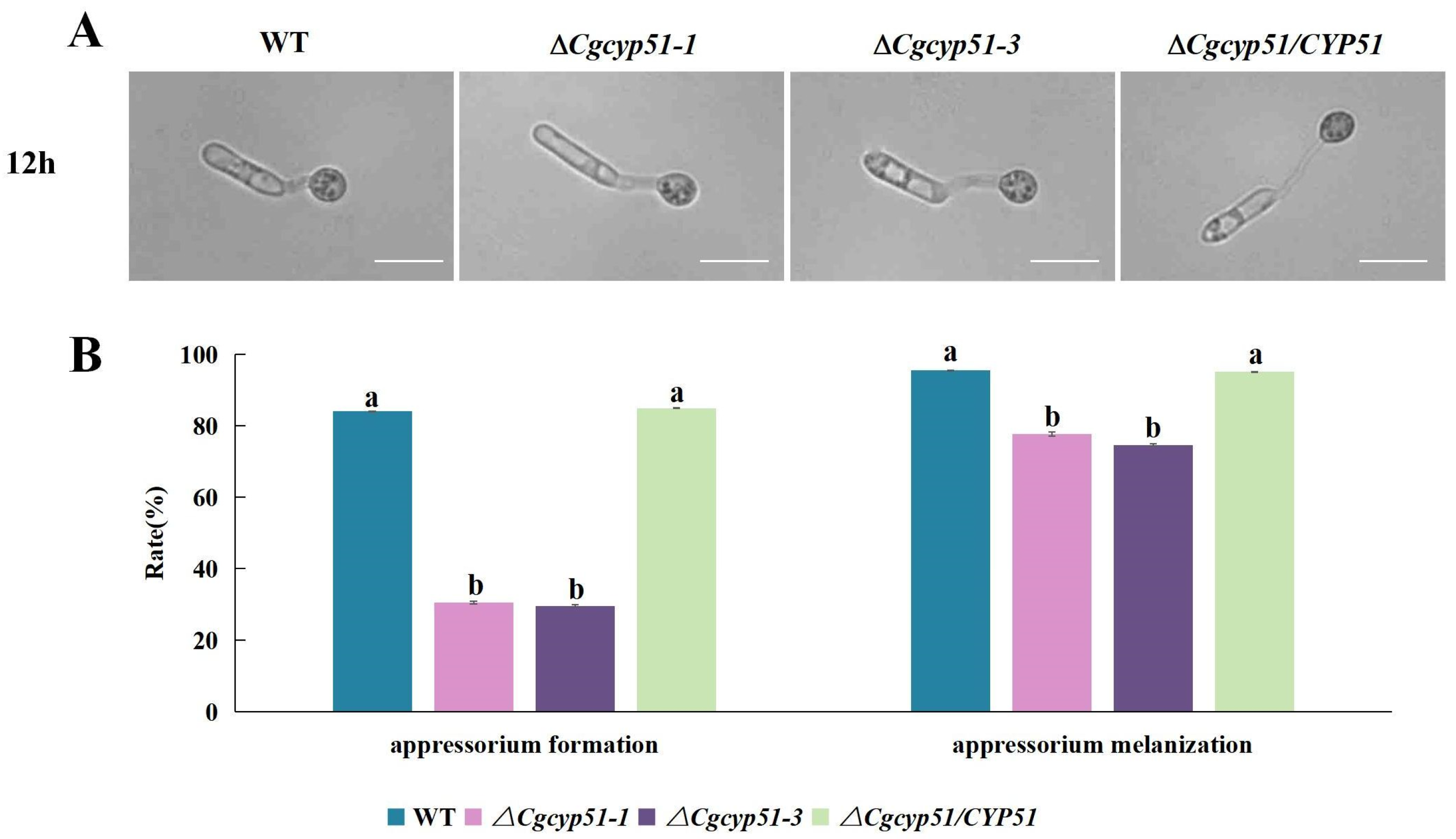 Forests 15 01888 g003