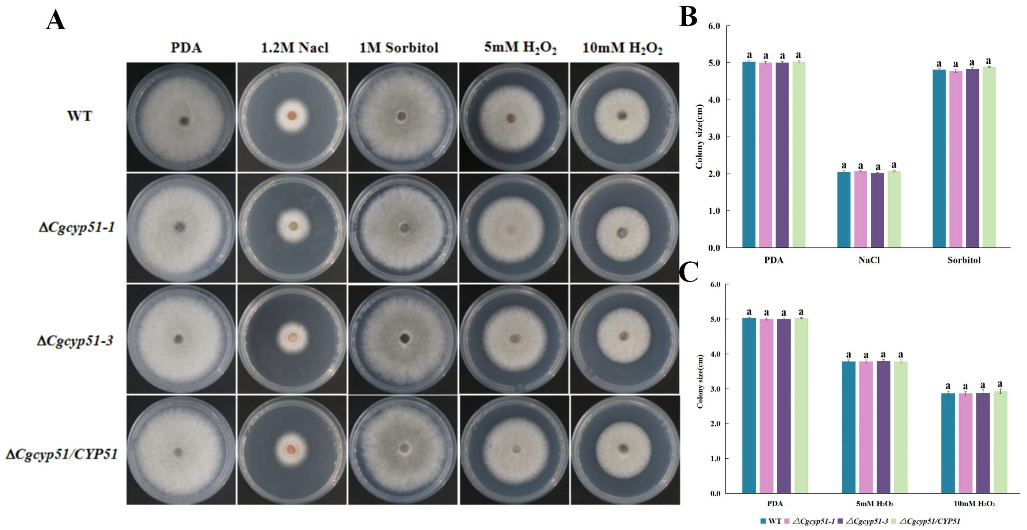 Forests 15 01888 g007