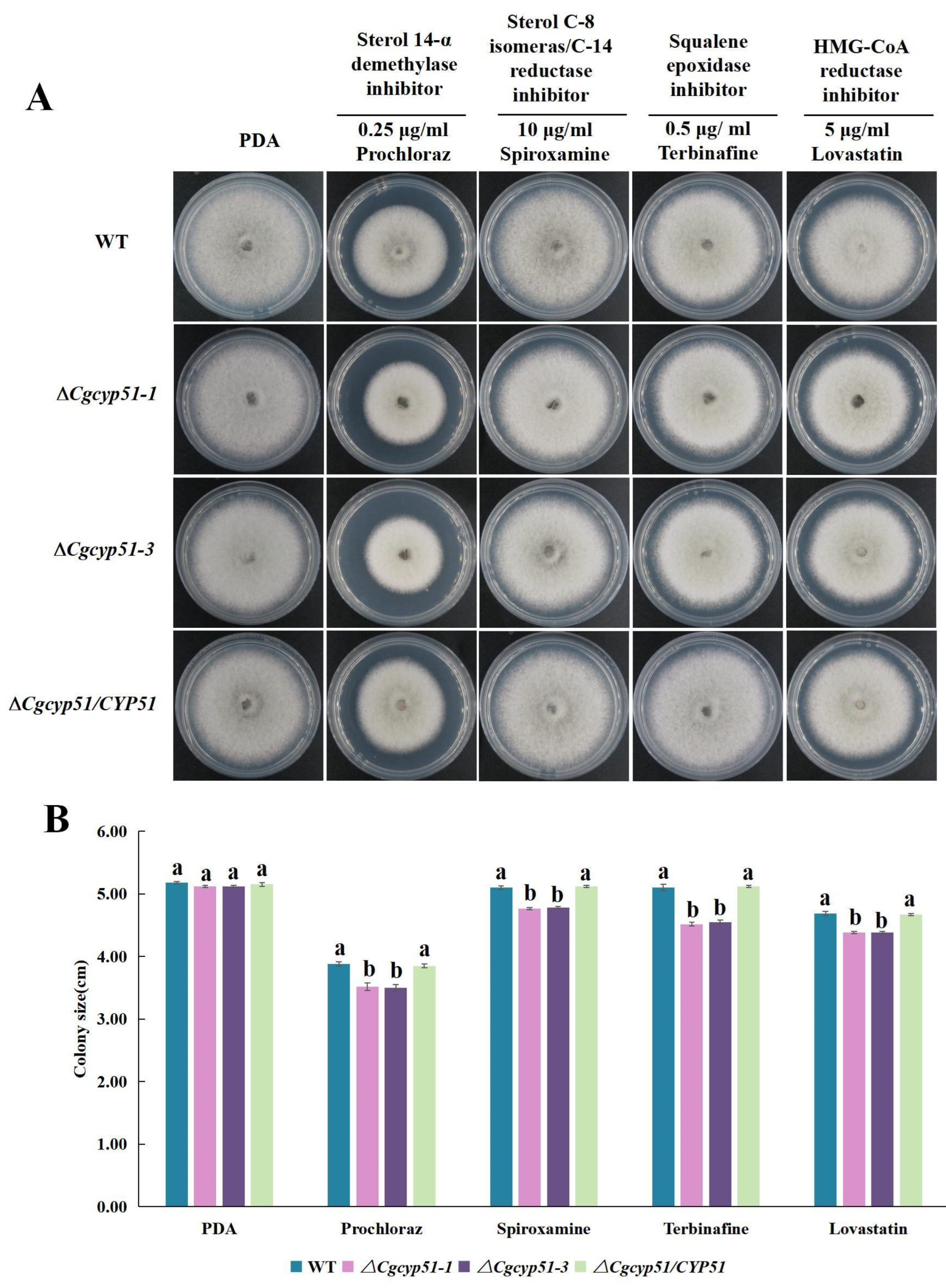Forests 15 01888 g008