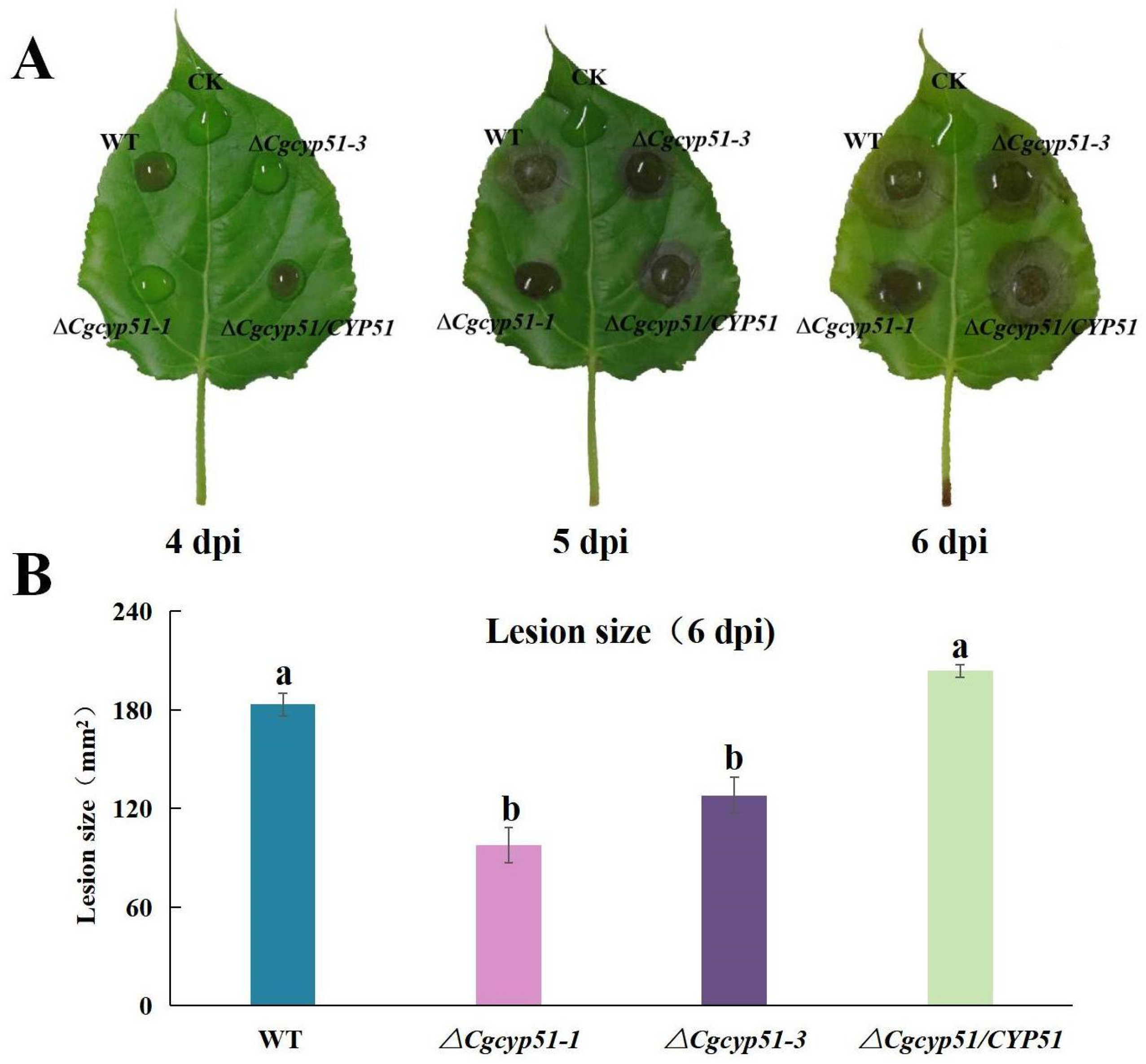 Forests 15 01888 g009