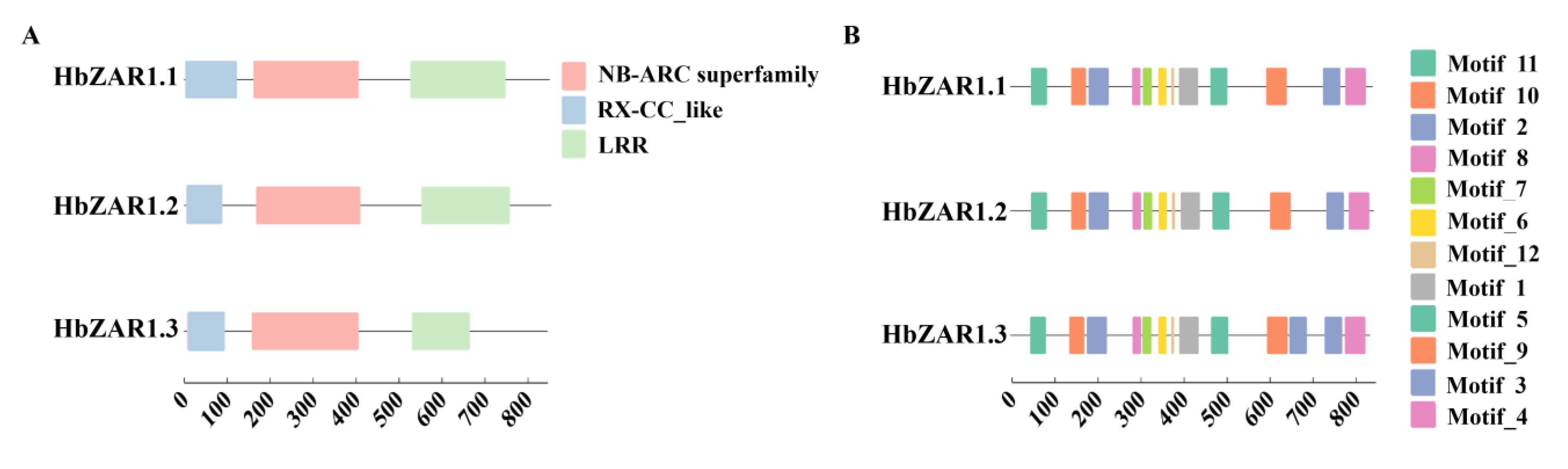 Forests 15 01891 g002