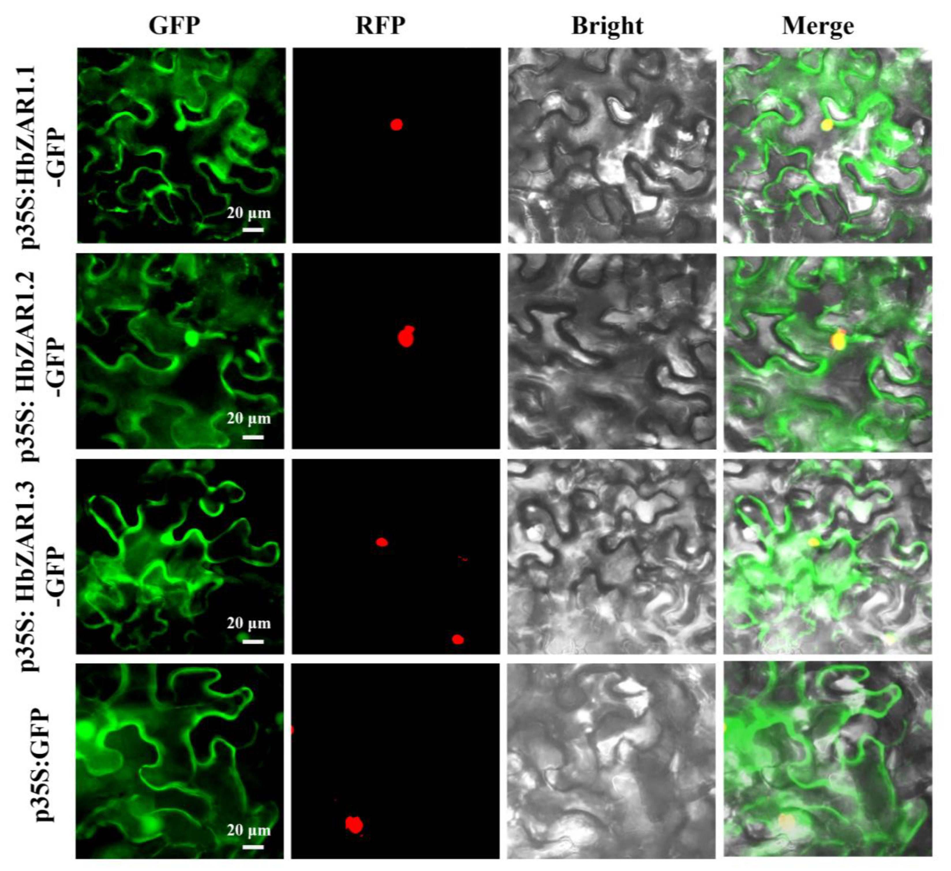 Forests 15 01891 g005