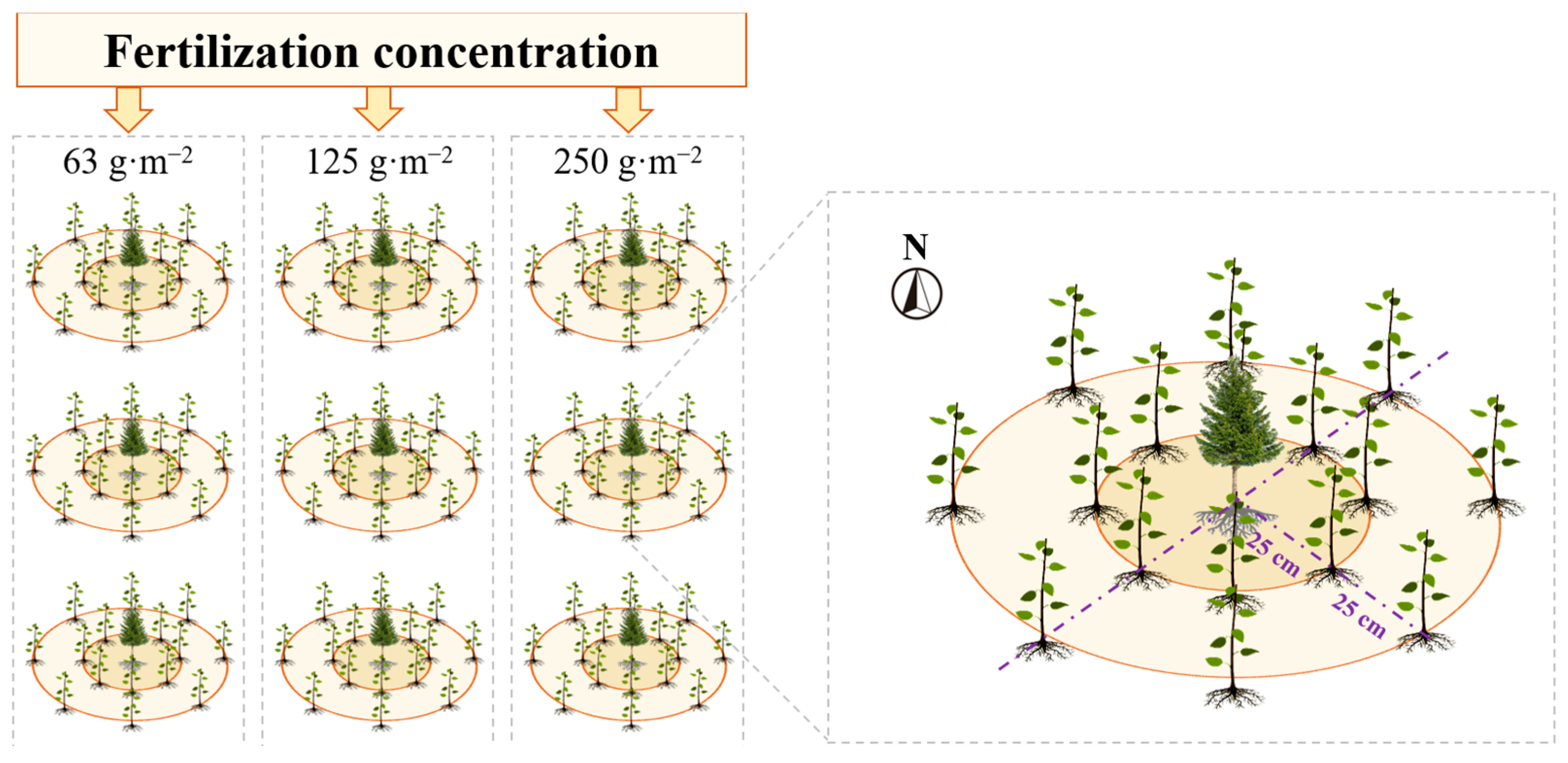 Forests 15 01895 g002