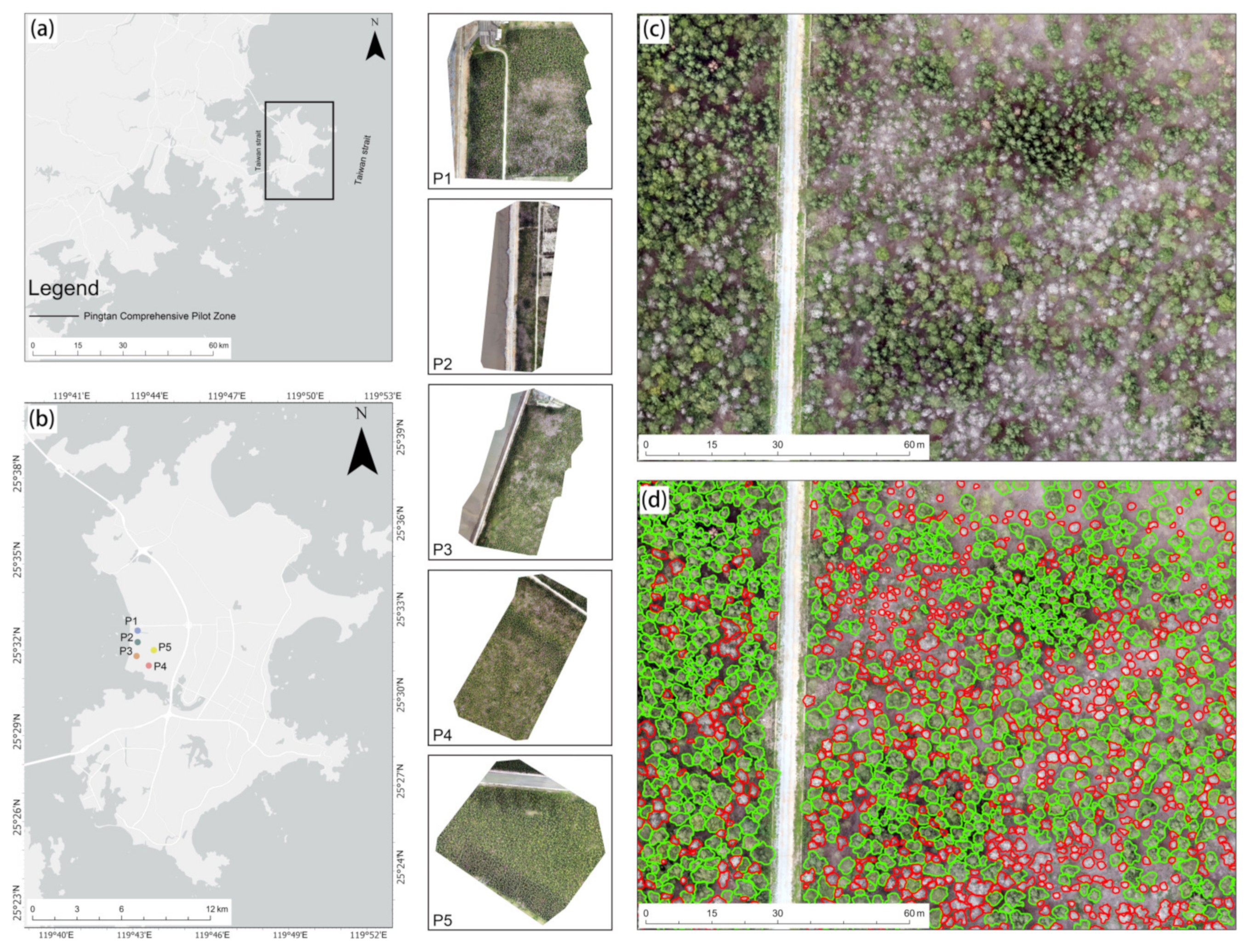 Forests 15 01900 g001