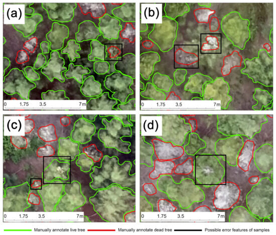 Individual Tree Crown Detection and Classification of Live and Dead ...