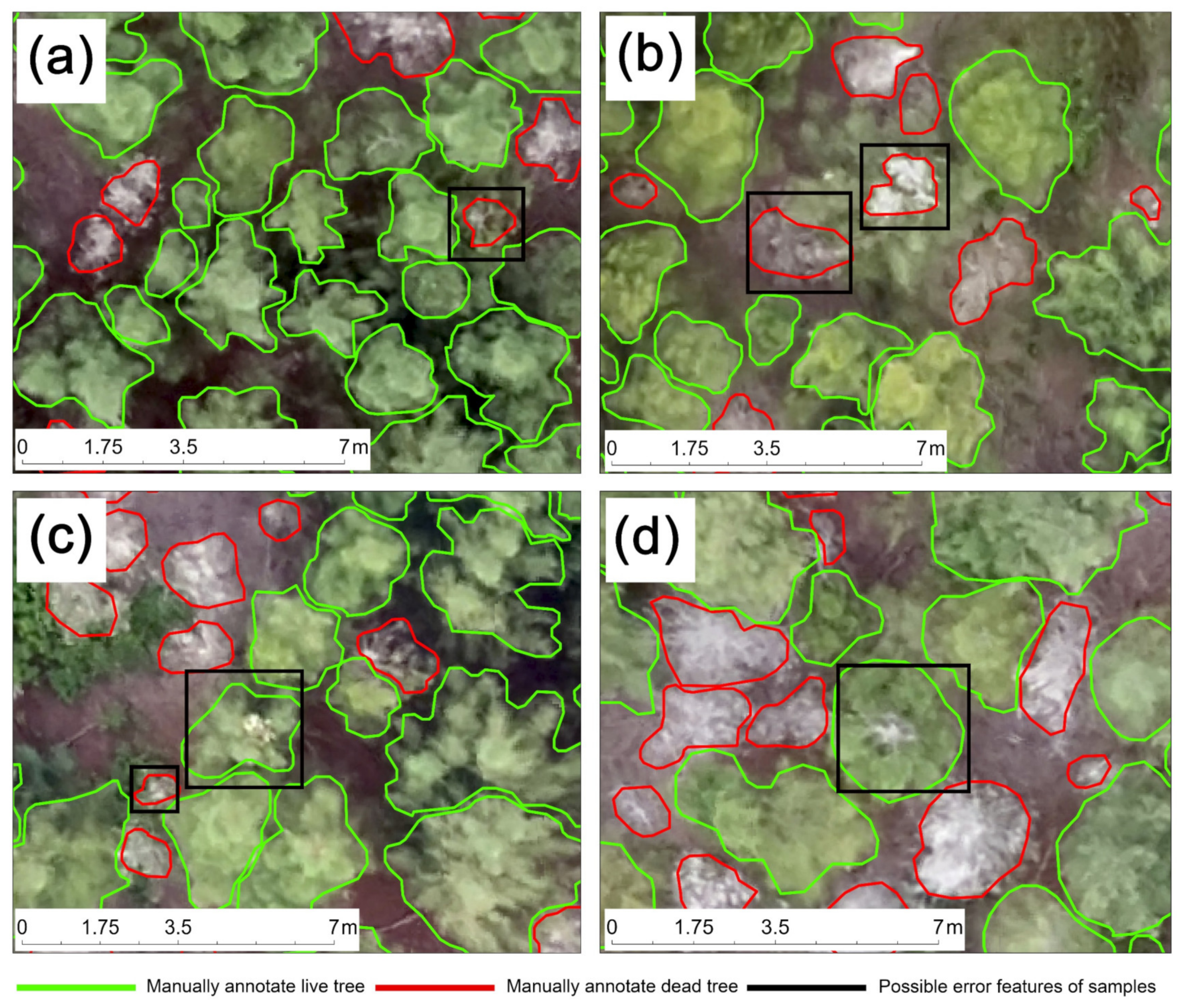 Forests 15 01900 g007