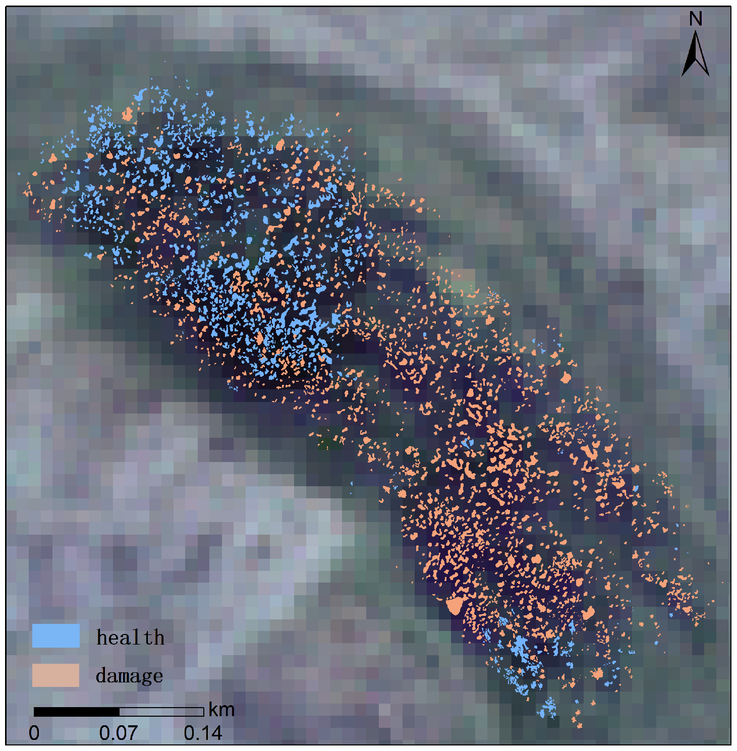 Forests 15 01901 g004