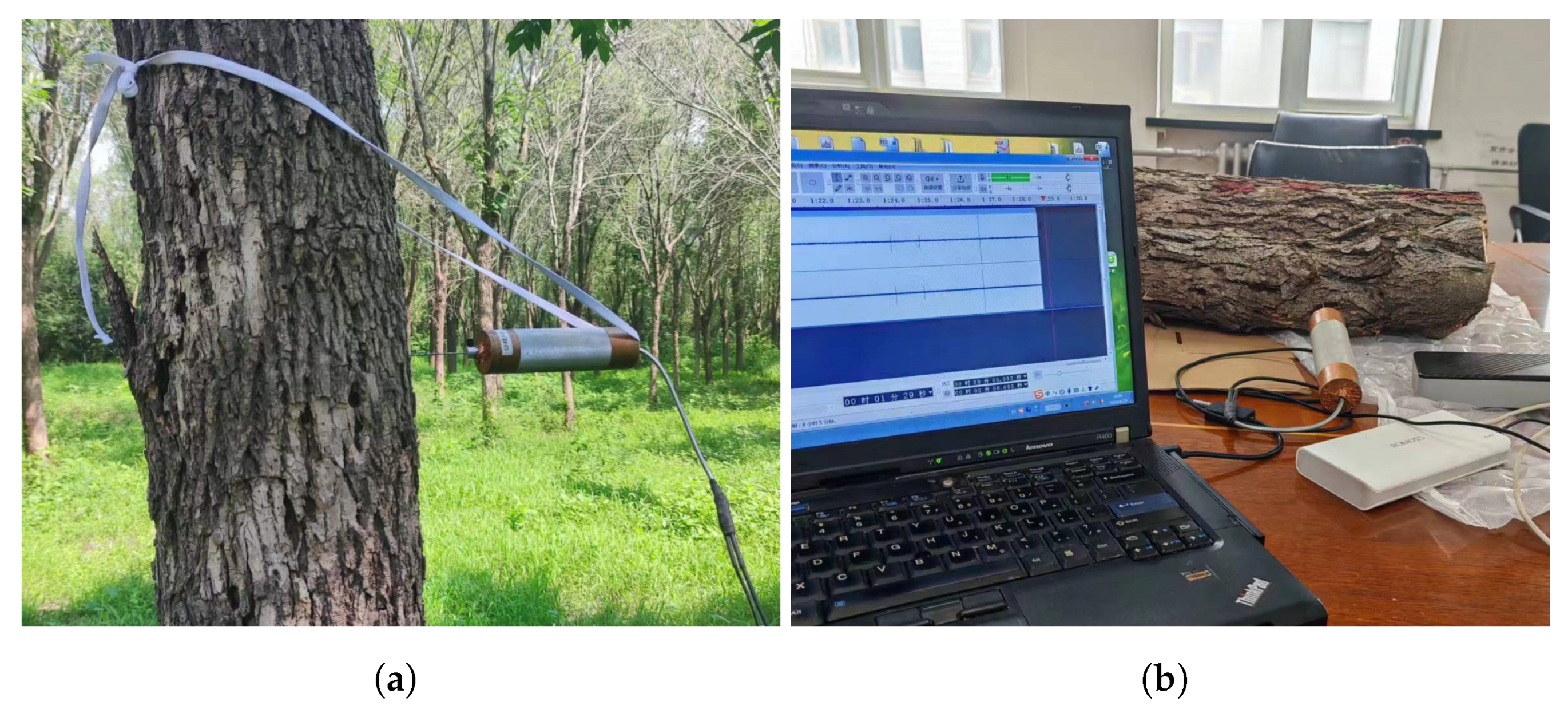 Forests 15 01903 g002