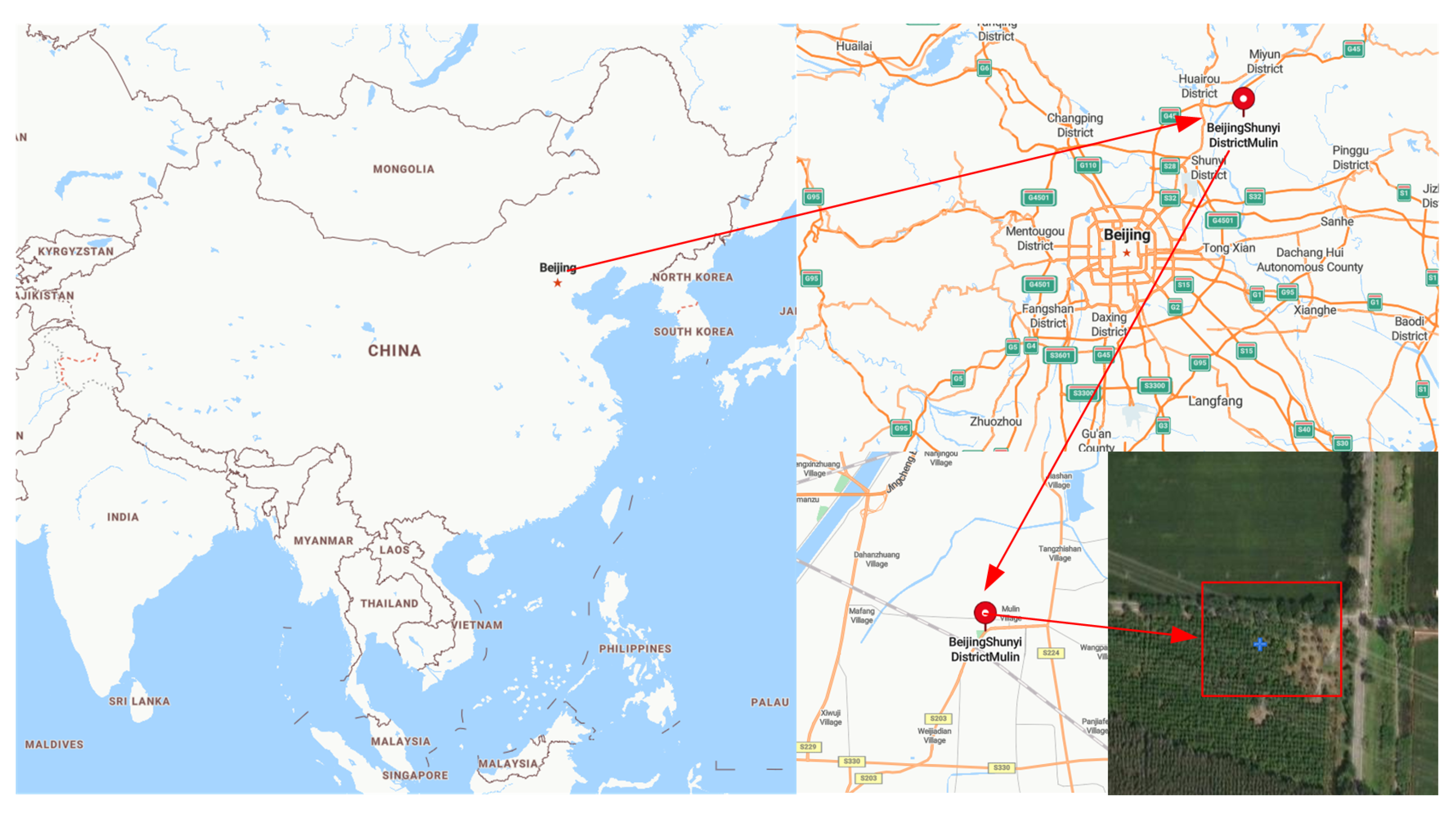 Forests 15 01903 g003