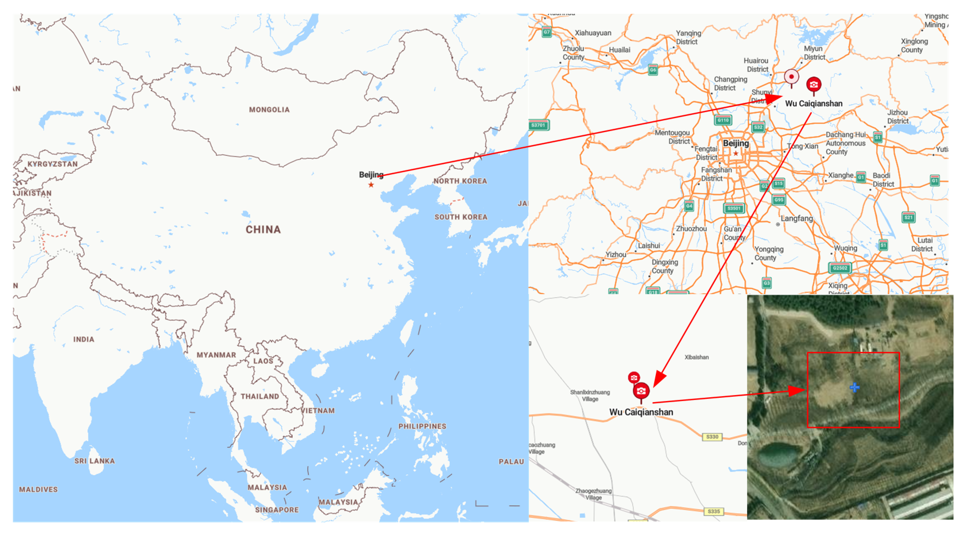 Forests 15 01903 g006