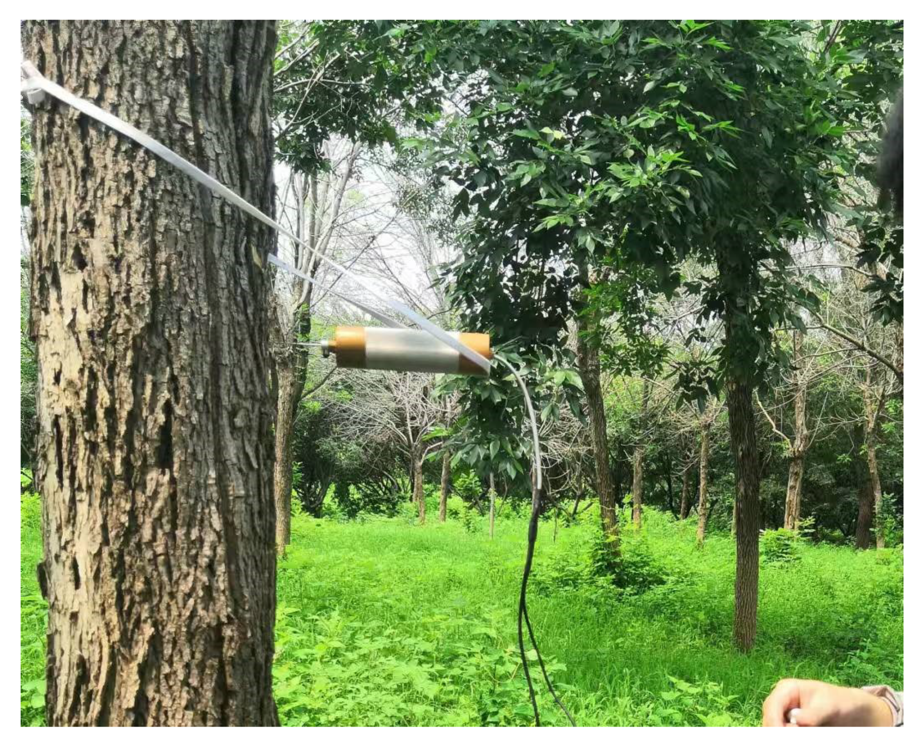 Forests 15 01903 g007