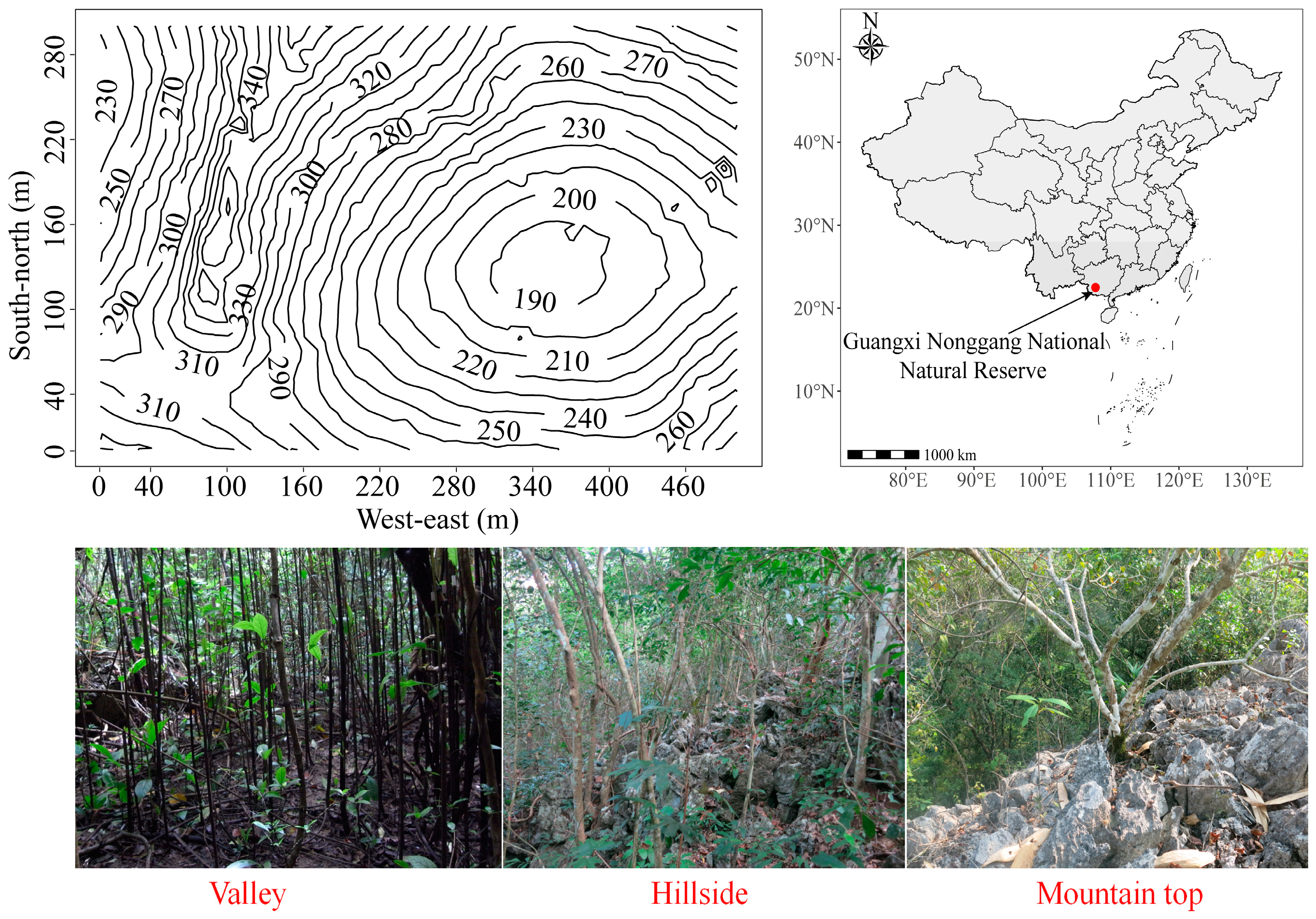 Forests 15 01904 g001