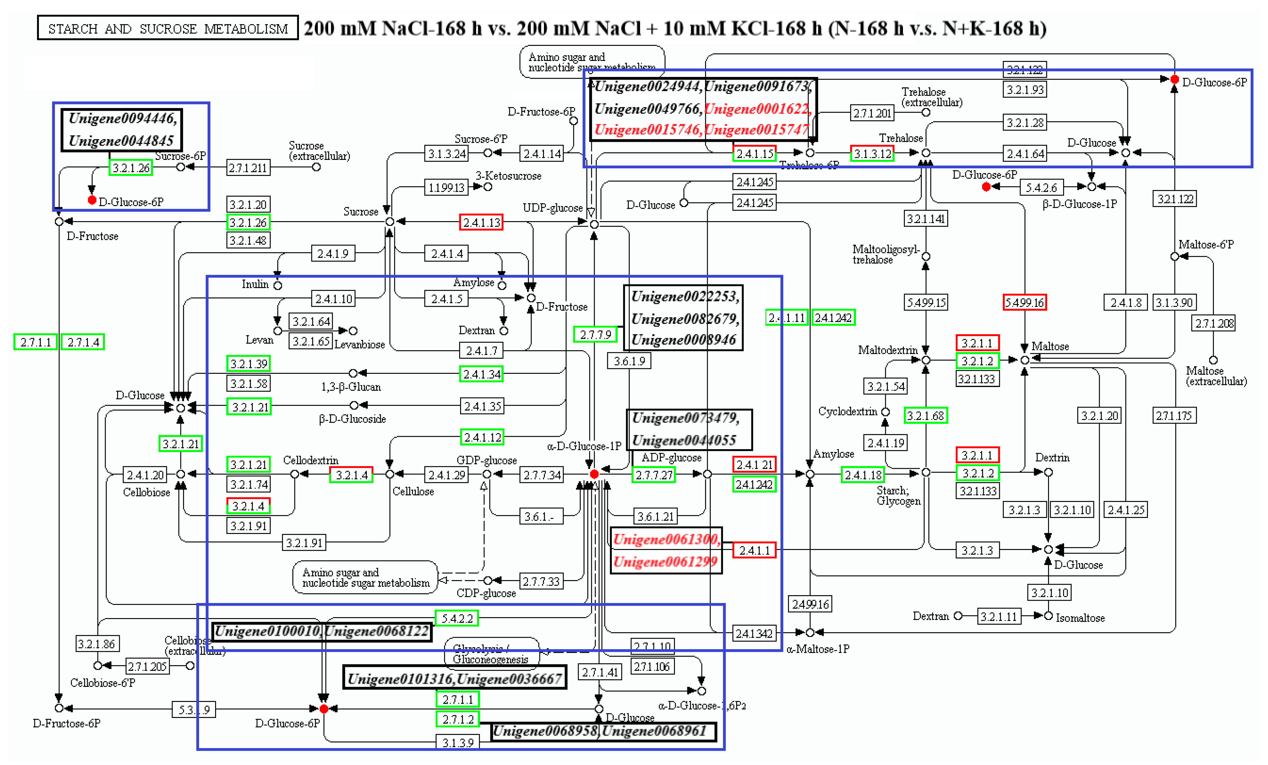 Forests 15 01905 g003b