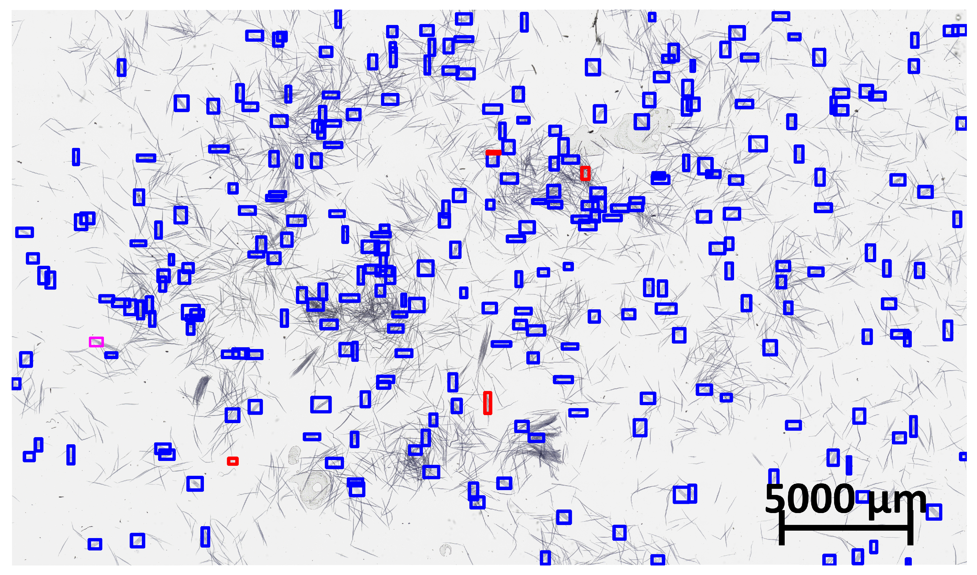 Forests 15 01910 g001