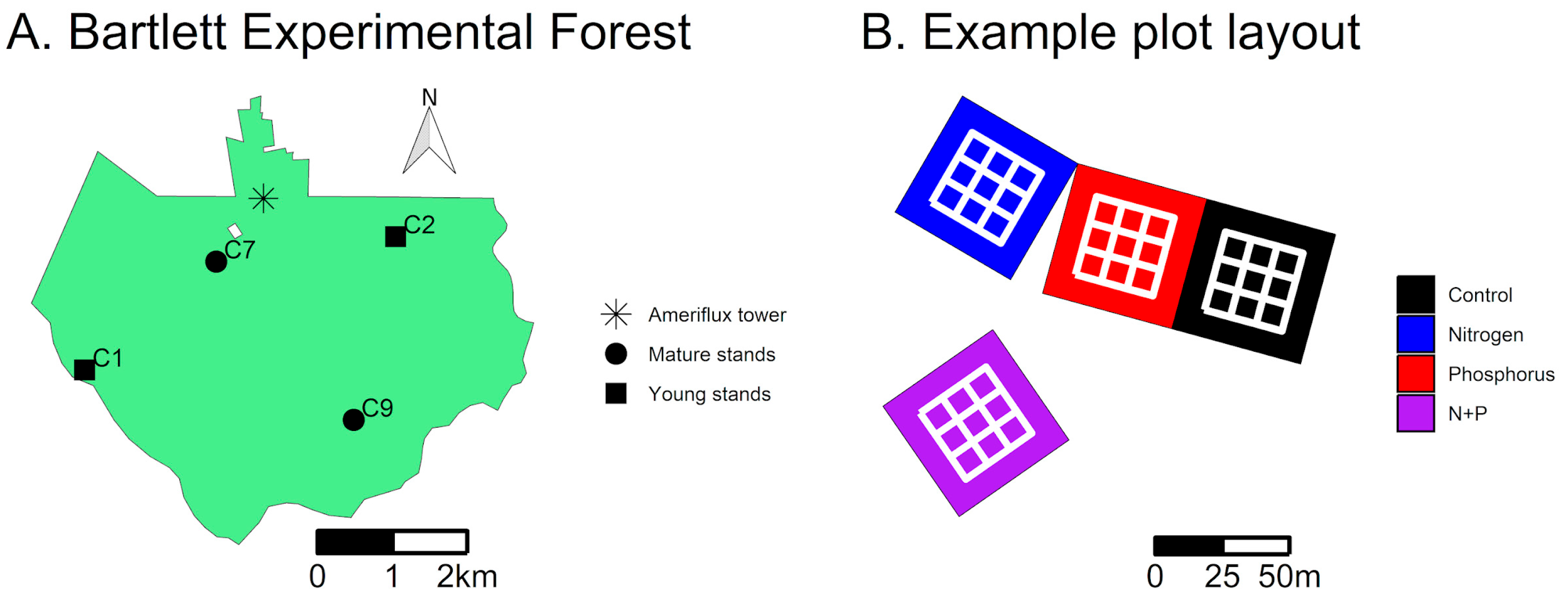 Forests 15 01911 g001