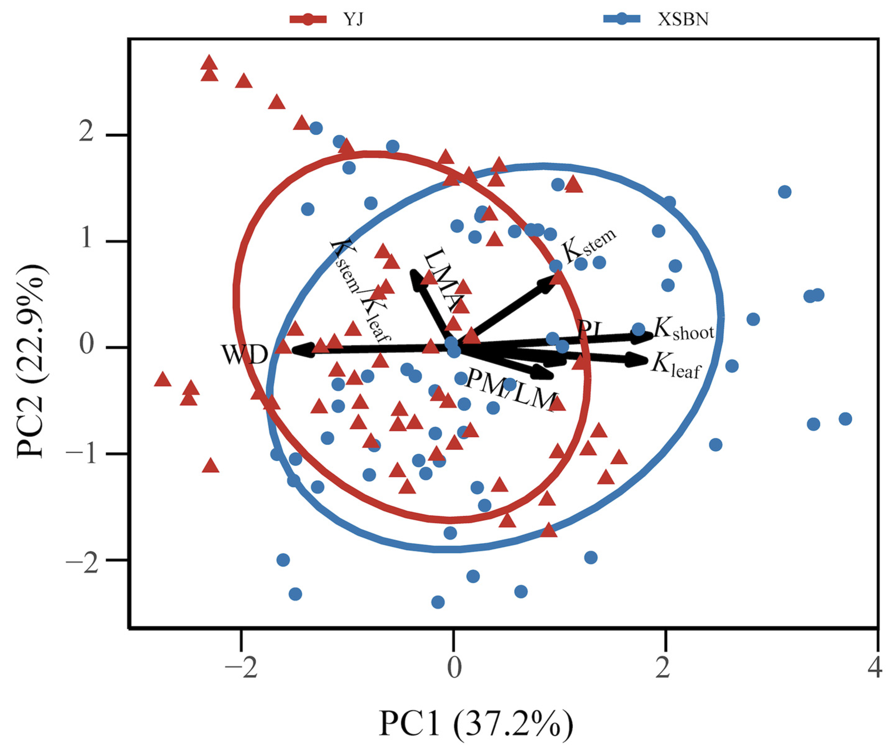 Forests 15 01912 g005