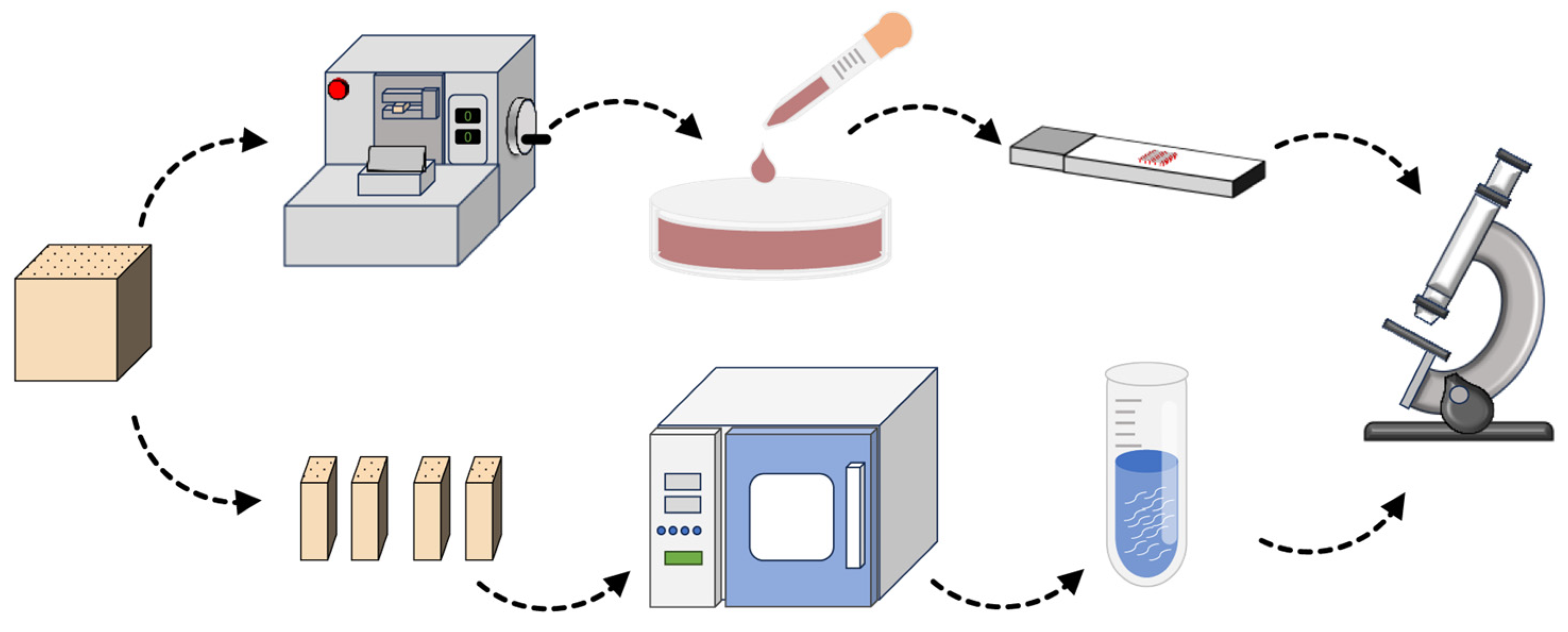 Forests 15 01915 g002
