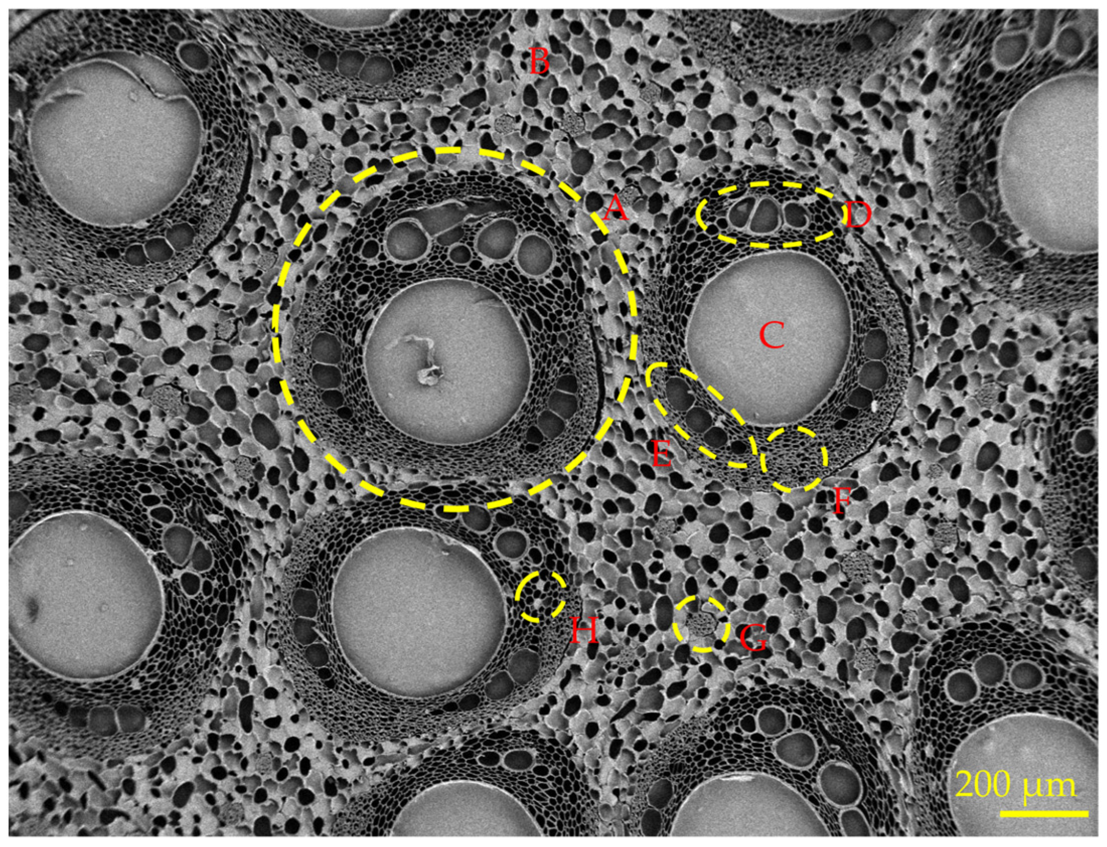 Forests 15 01915 g003