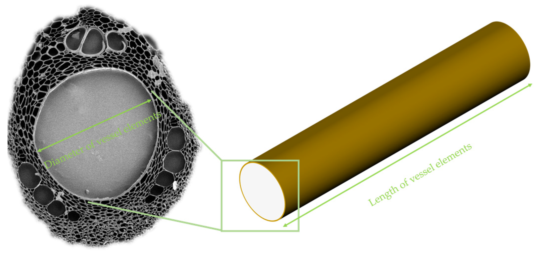 Forests 15 01915 g004