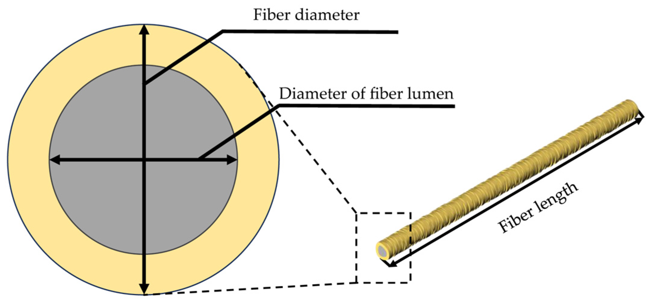 Forests 15 01915 g005