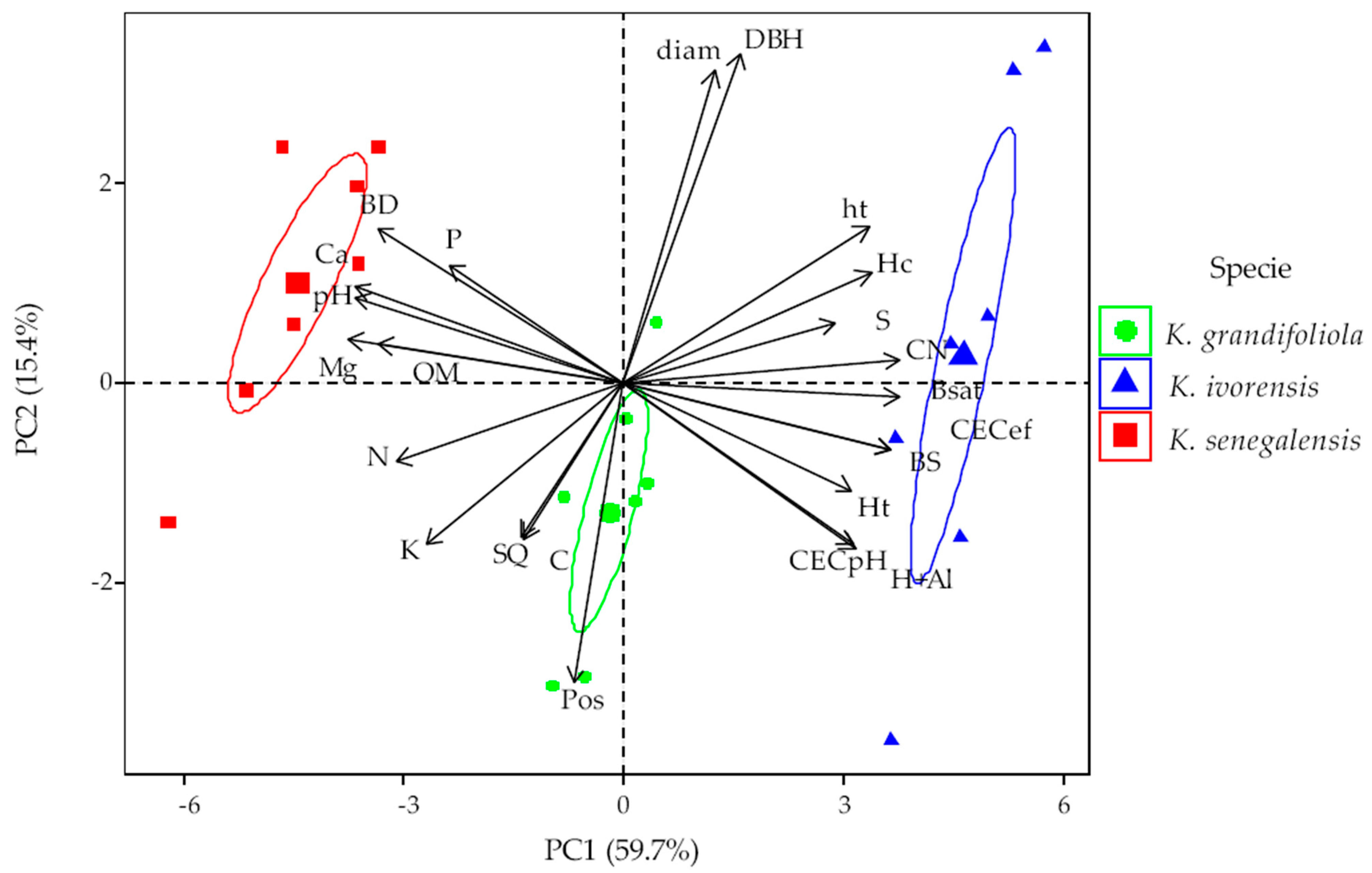 Forests 15 01923 g009
