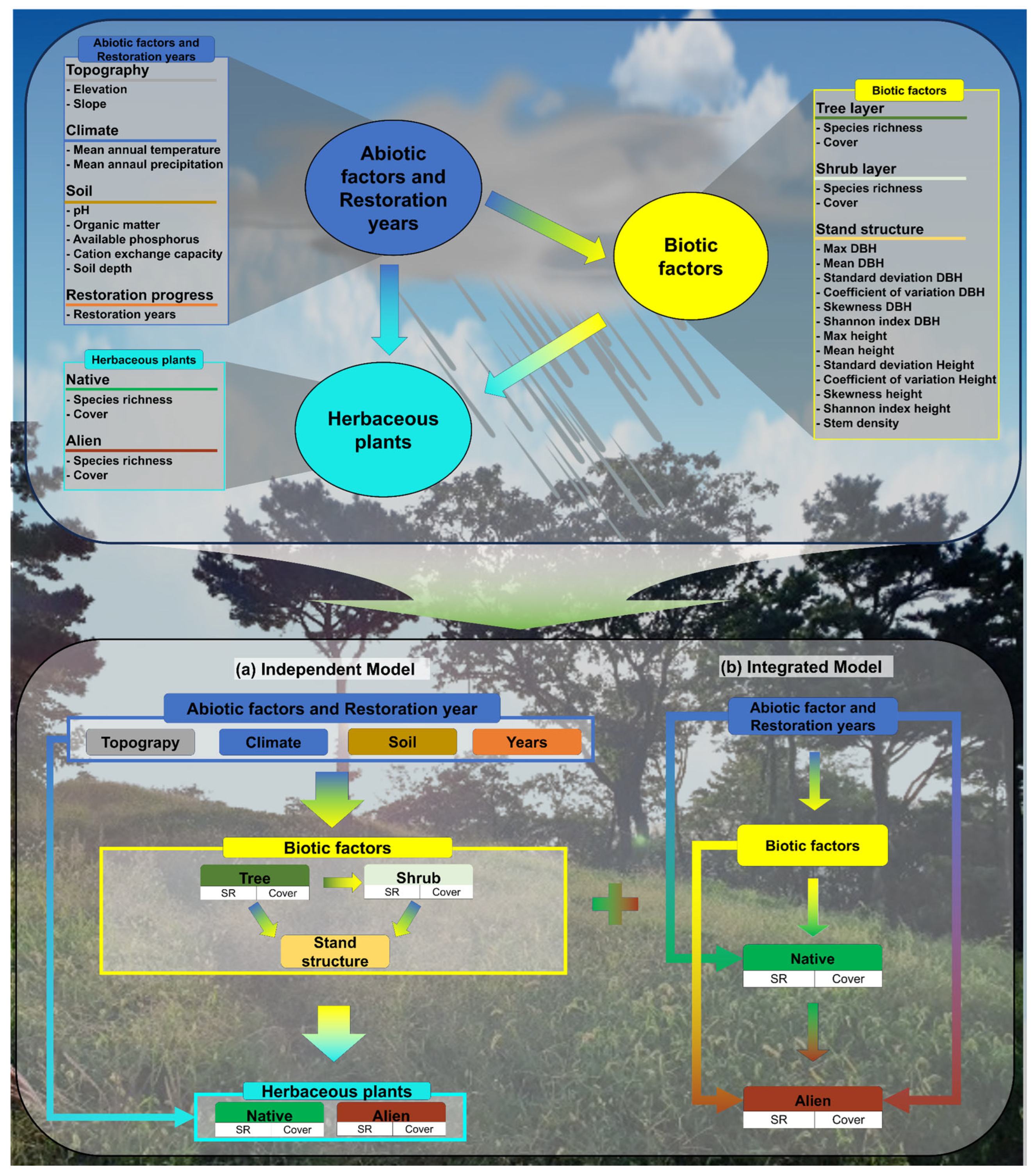 Forests 15 01924 g001