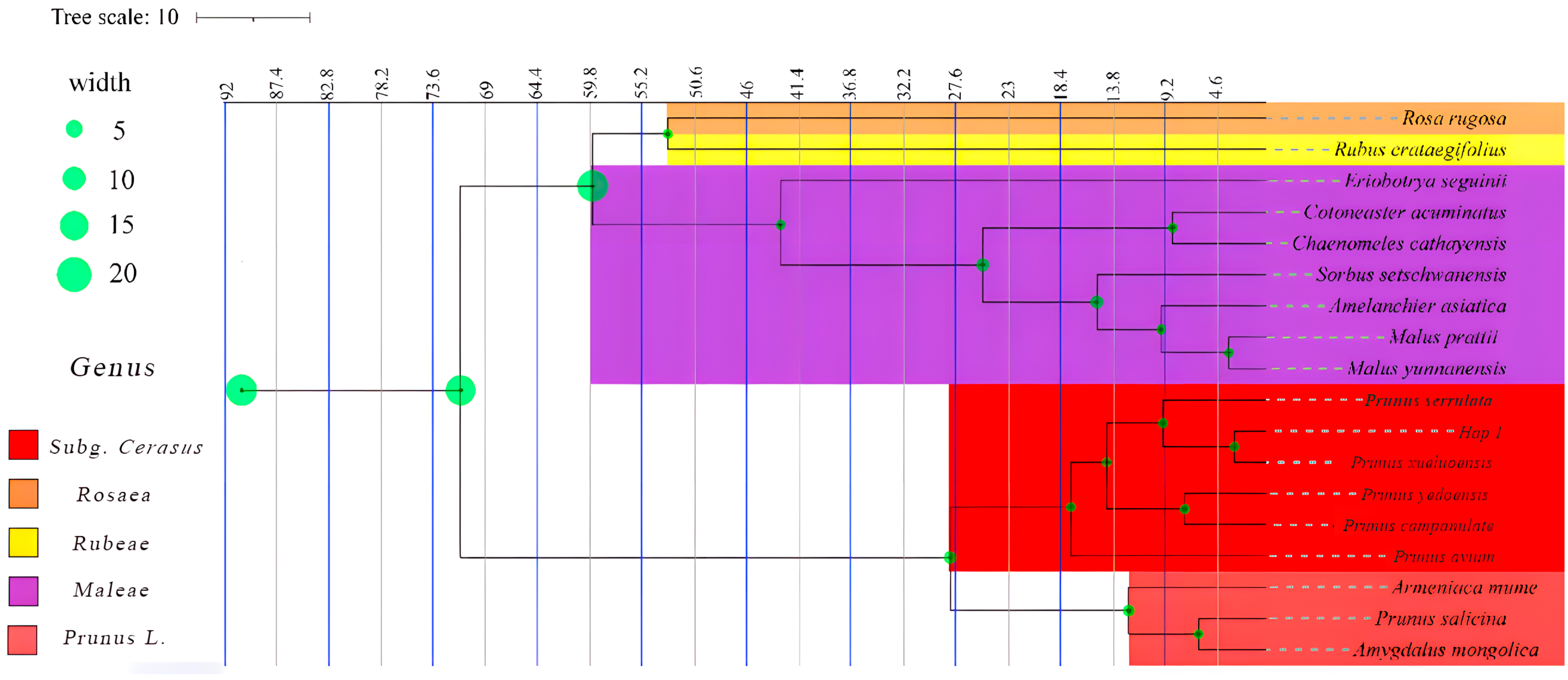 Forests 15 01927 g009