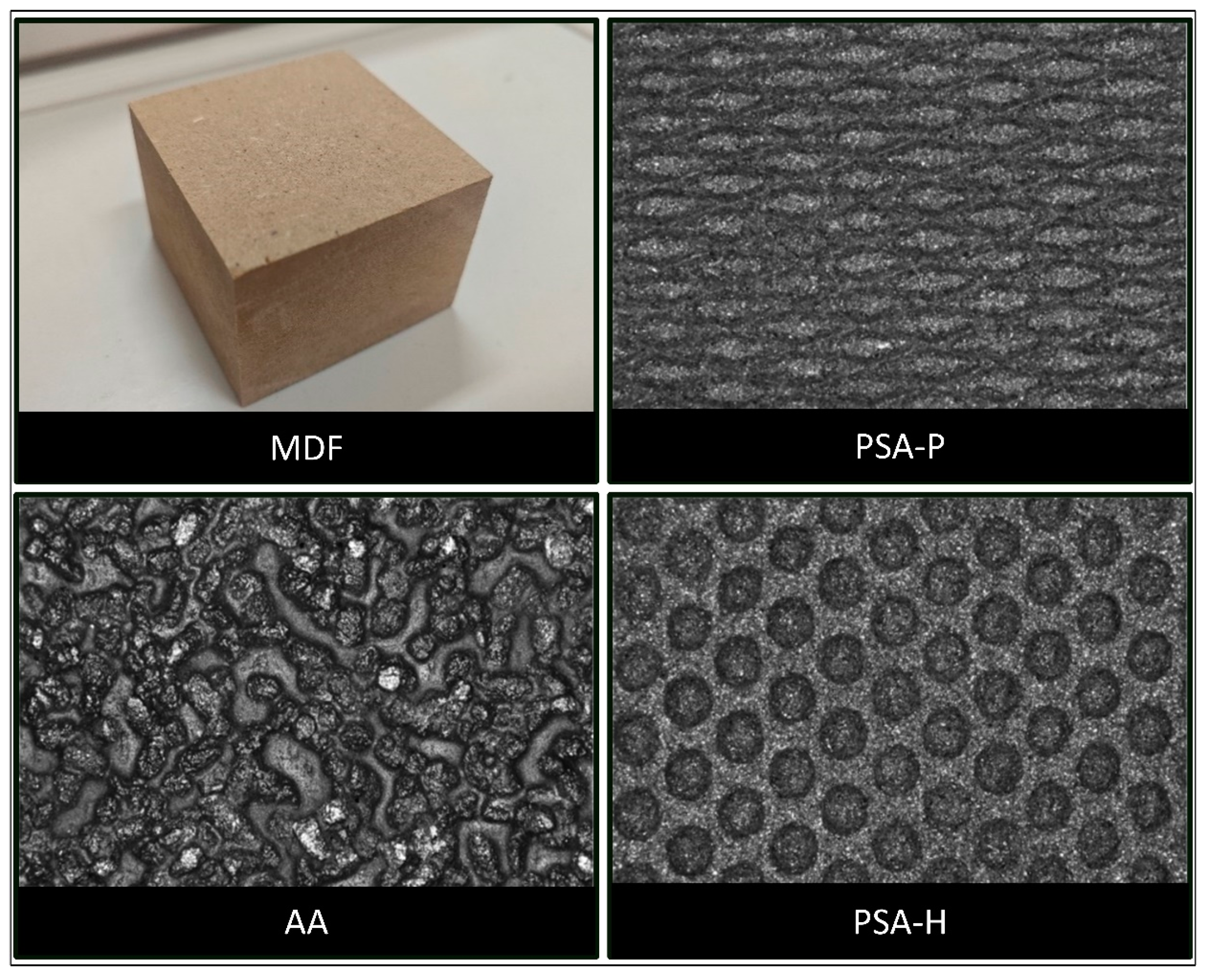 Forests 15 01934 g001