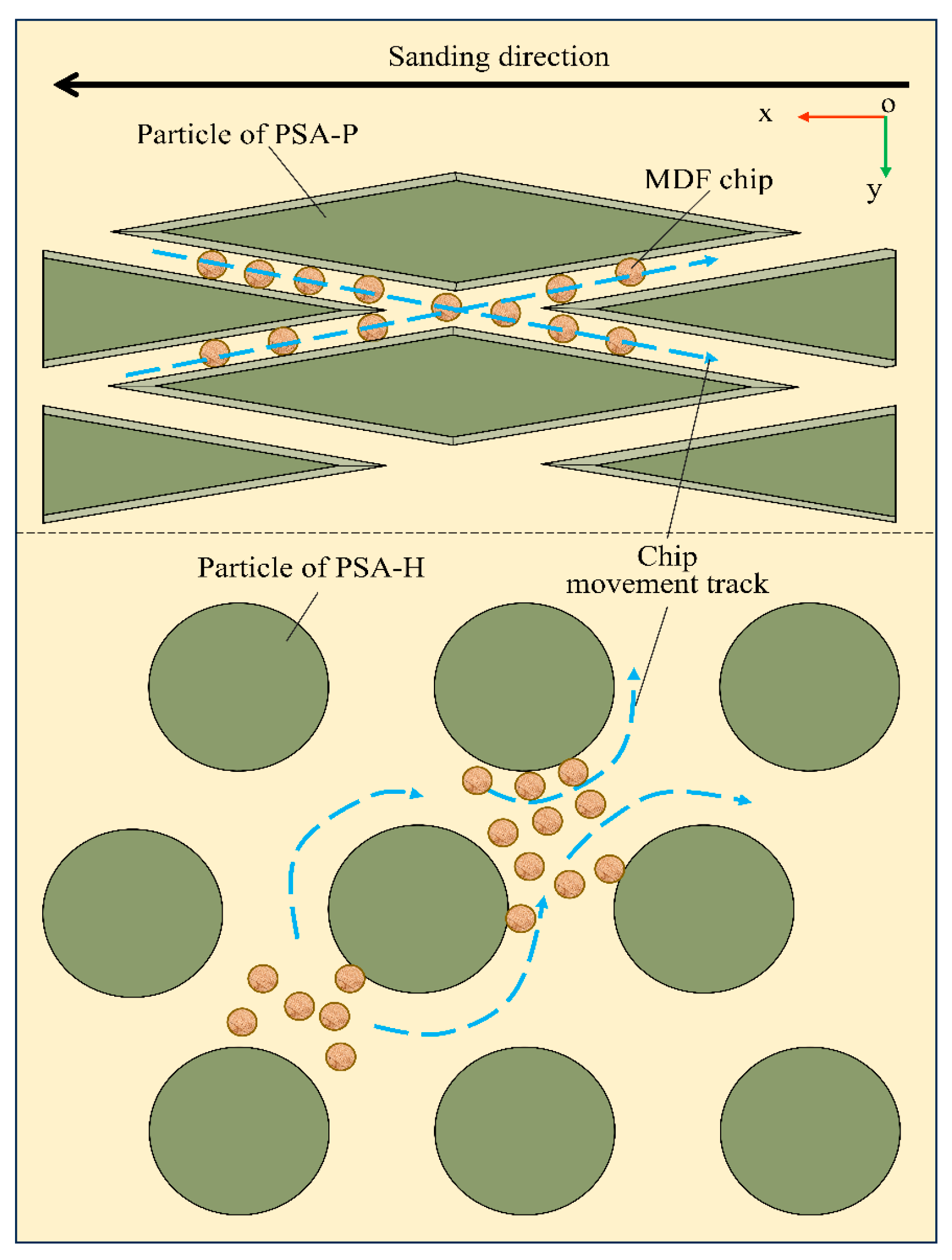 Forests 15 01934 g005