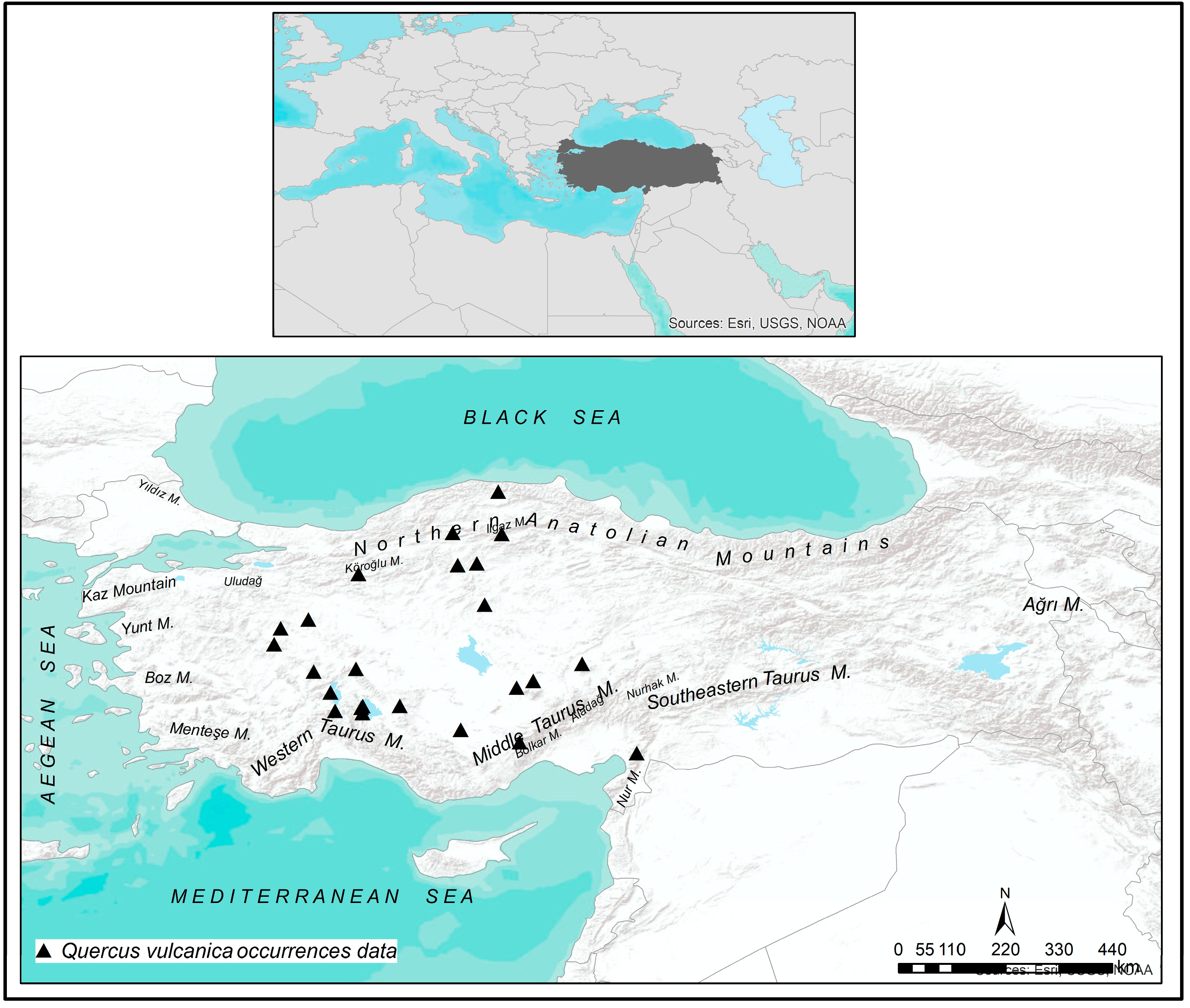 Forests 15 01935 g001