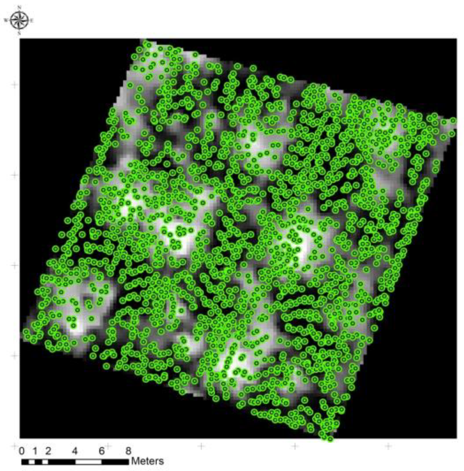 Forests 15 01940 g002