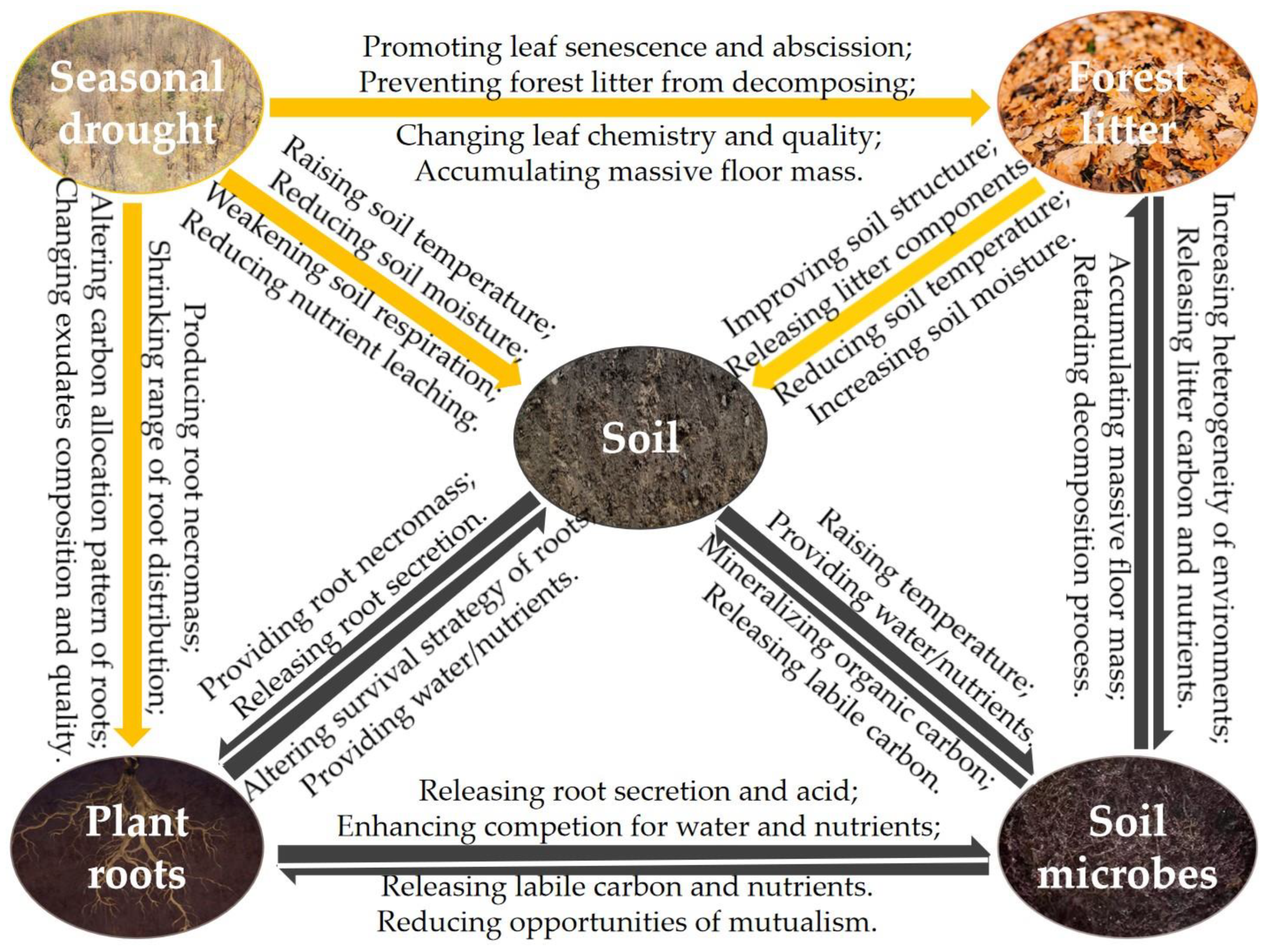 Forests 15 01948 g002