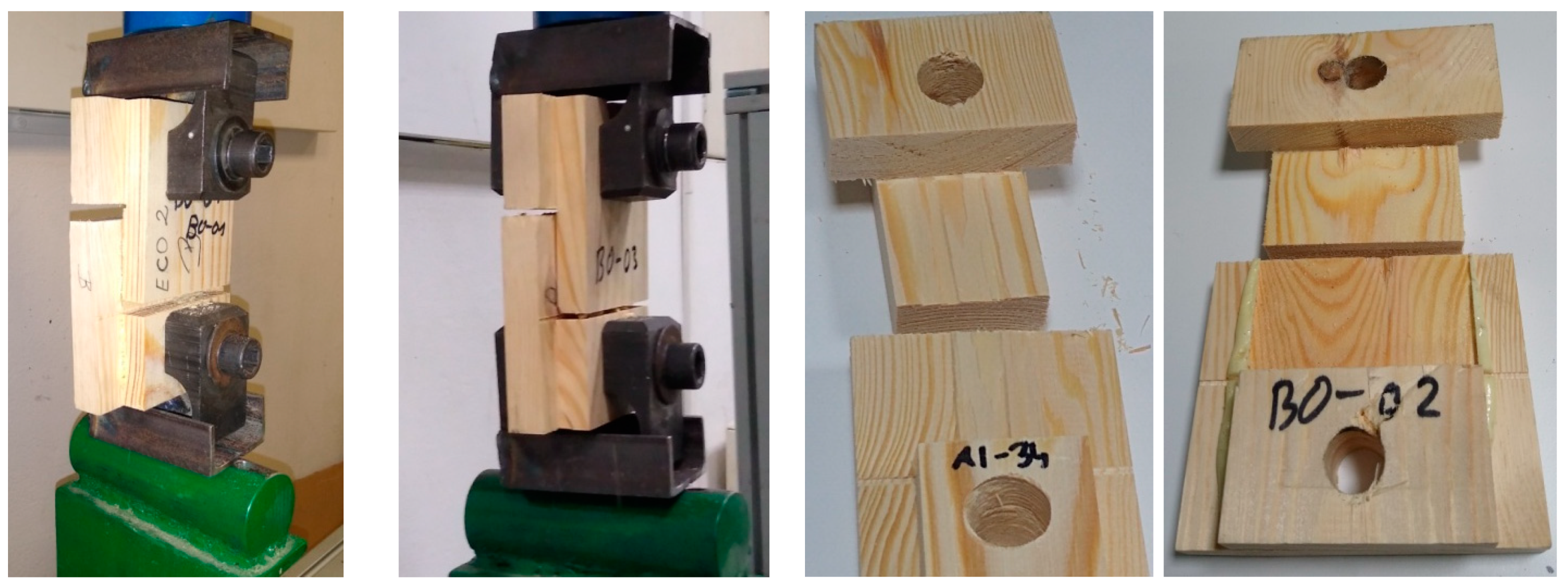 Forests 15 01953 g002