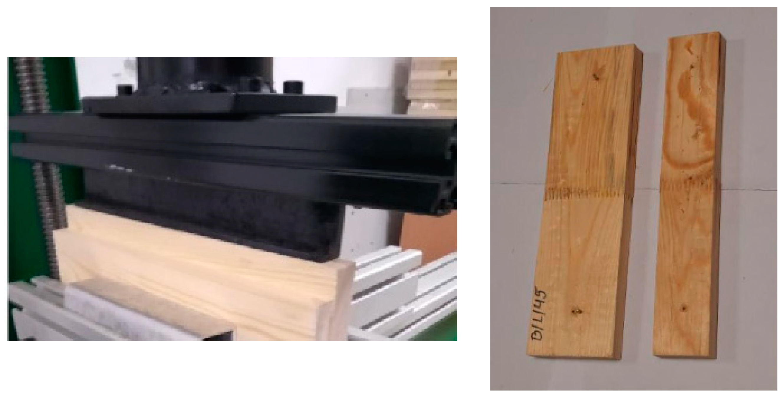 Forests 15 01953 g004