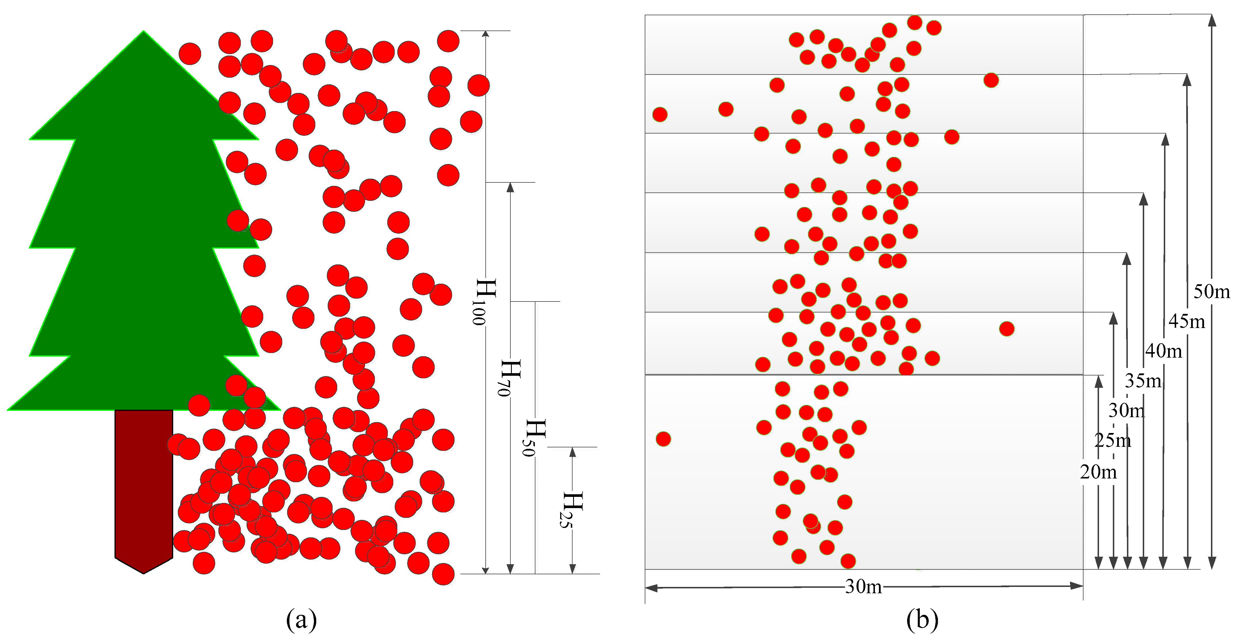 Forests 15 01957 g002