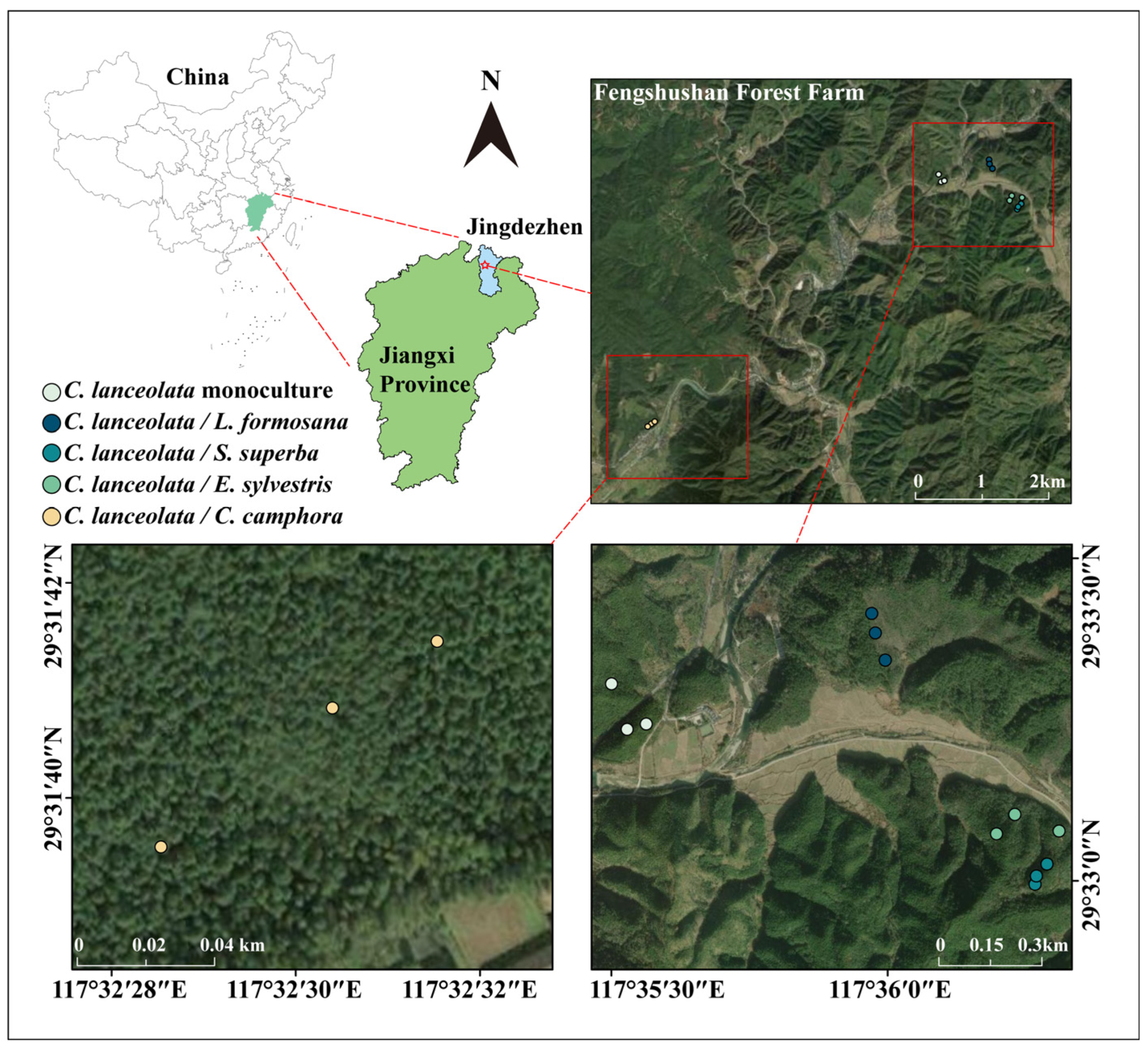 Forests 15 01970 g001