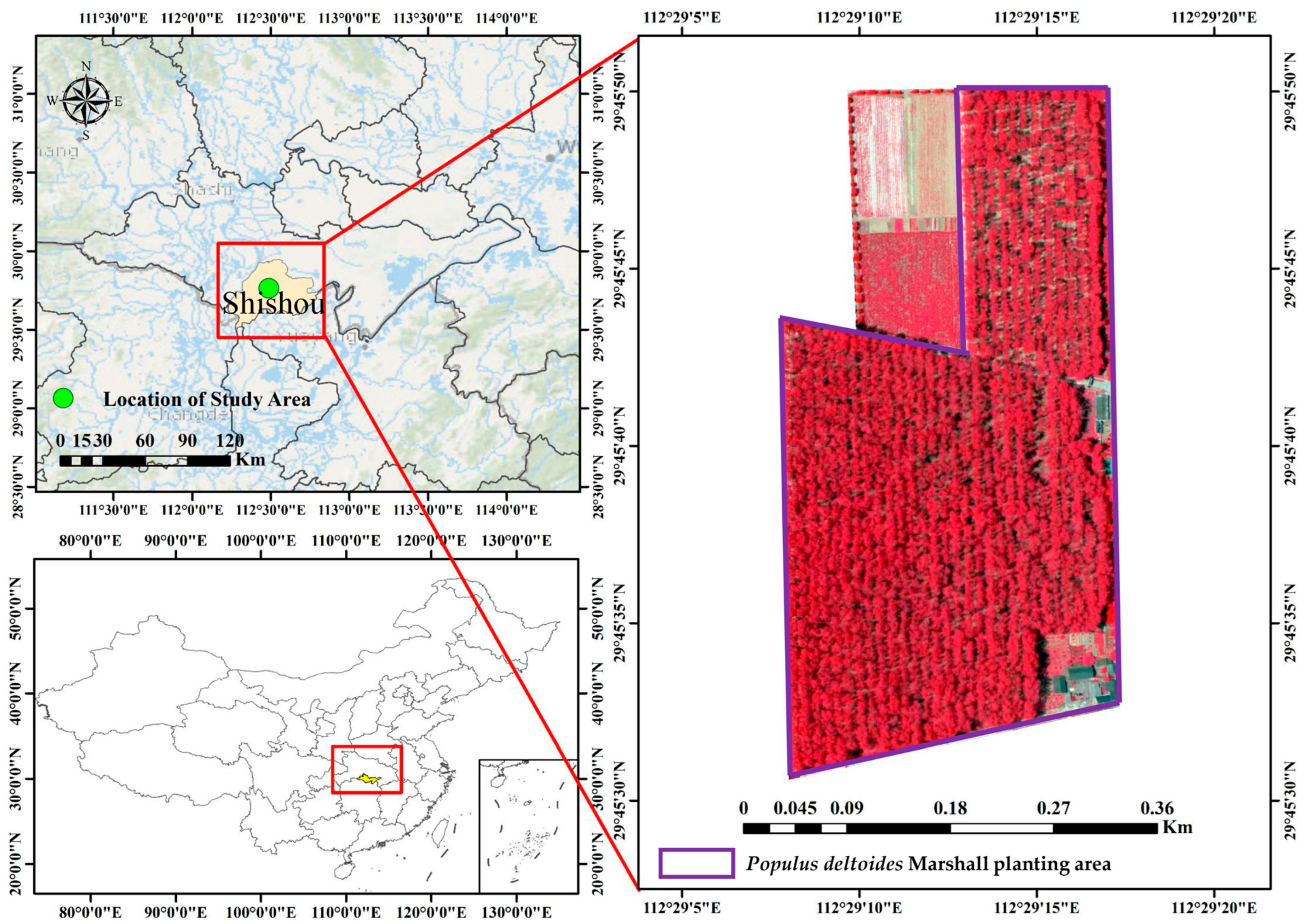 Forests 15 01971 g001