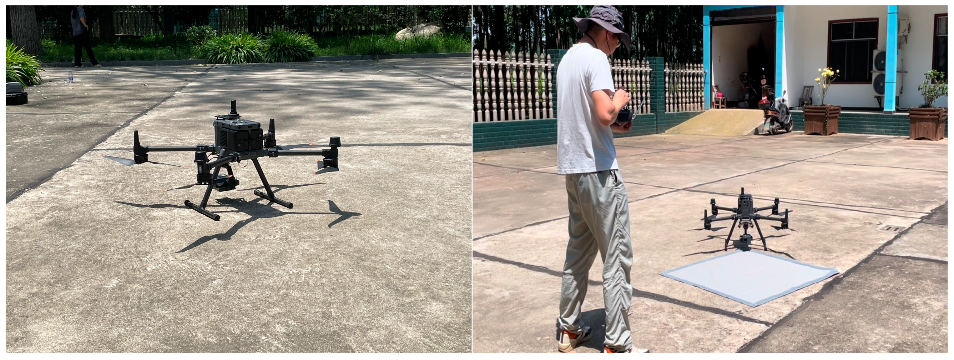 Forests 15 01971 g002