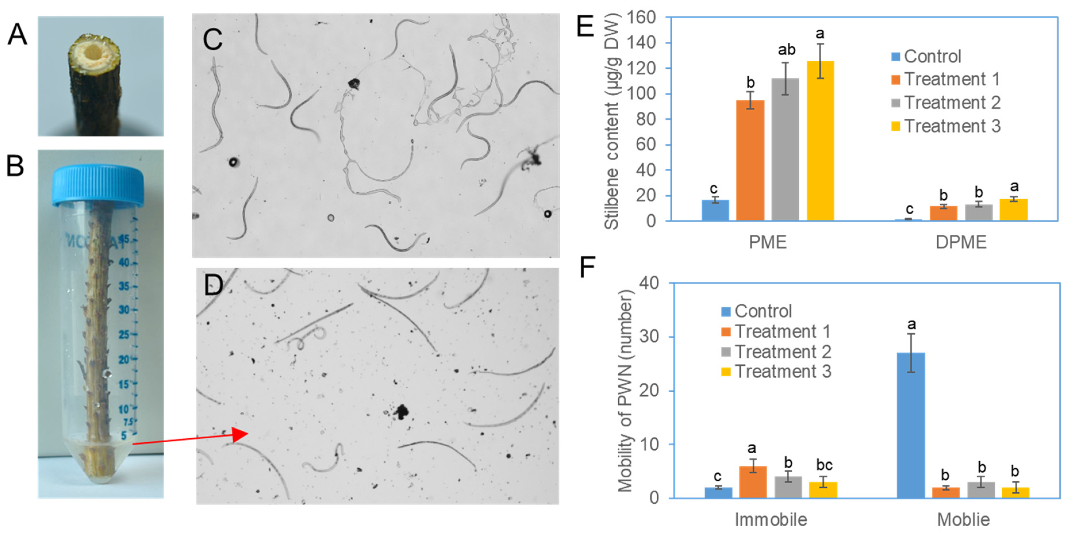 Forests 15 01973 g005