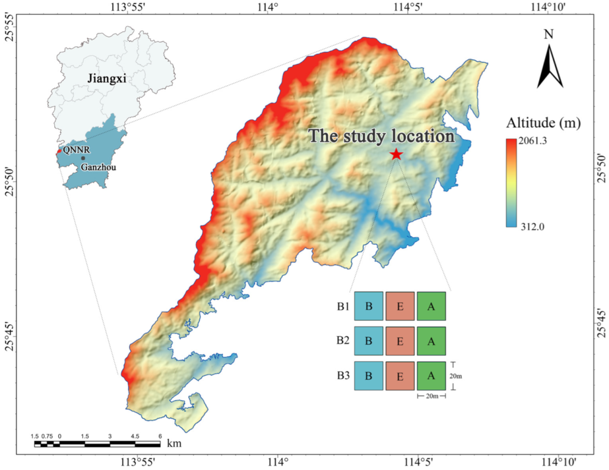Forests 15 01984 g001